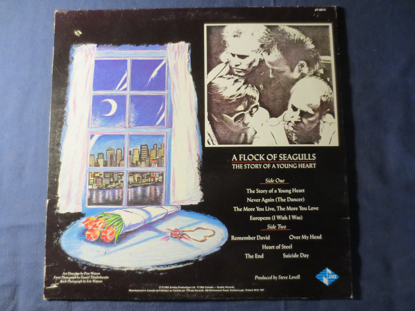 A FLOCK of SEAGULLS, Young HEART, Rock Record, Vintage Vinyl, Record Vinyl, Record, Vinyl Record, Vinyl Album, 1984 Records