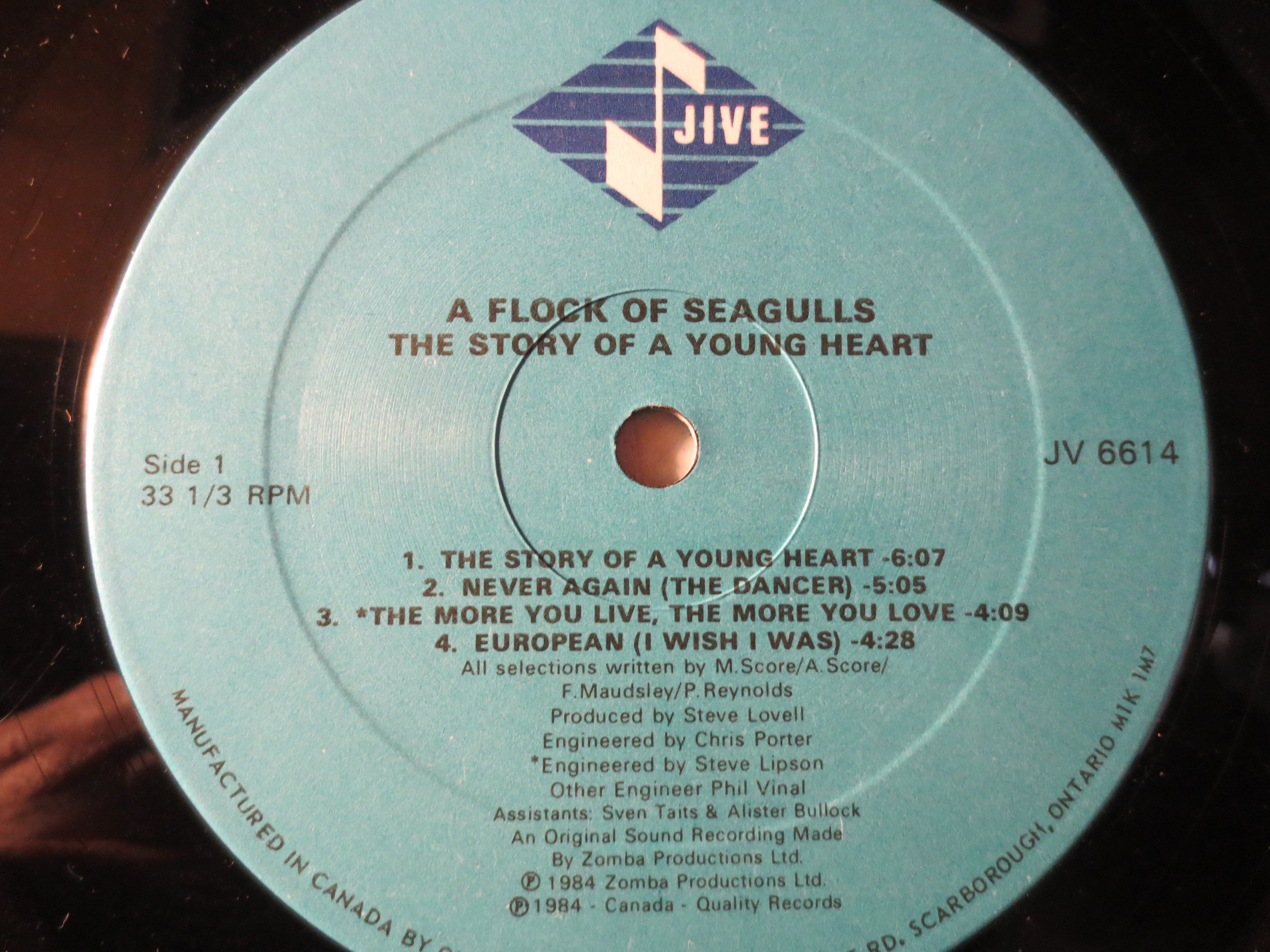 A FLOCK of SEAGULLS, Young HEART, Rock Record, Vintage Vinyl, Record Vinyl, Record, Vinyl Record, Vinyl Album, 1984 Records