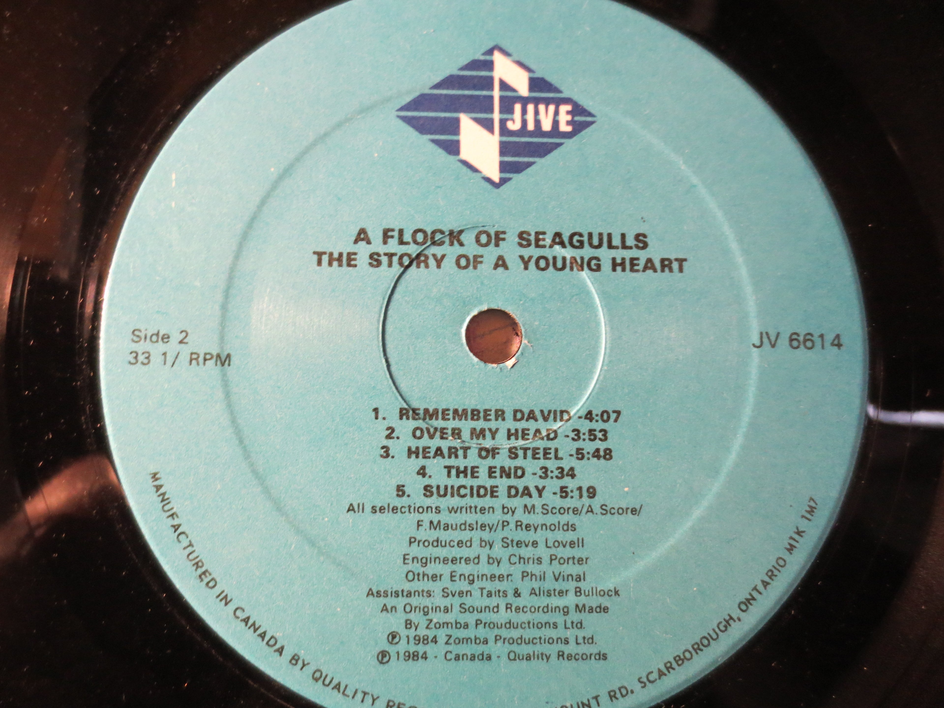 A FLOCK of SEAGULLS, Young HEART, Rock Record, Vintage Vinyl, Record Vinyl, Record, Vinyl Record, Vinyl Album, 1984 Records