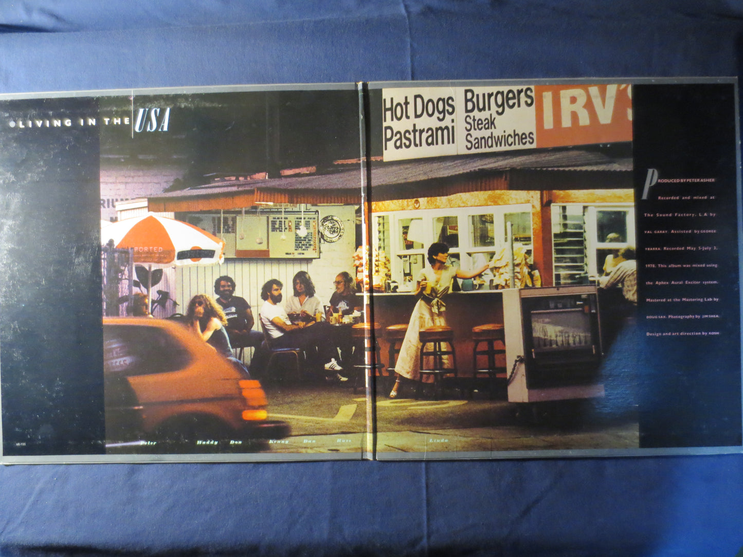 LINDA RONSTADT, Living in the USA, Linda Ronstadt Album, Linda Ronstadt Lp, Country Record, Pop Record, Lps, 1978 Records