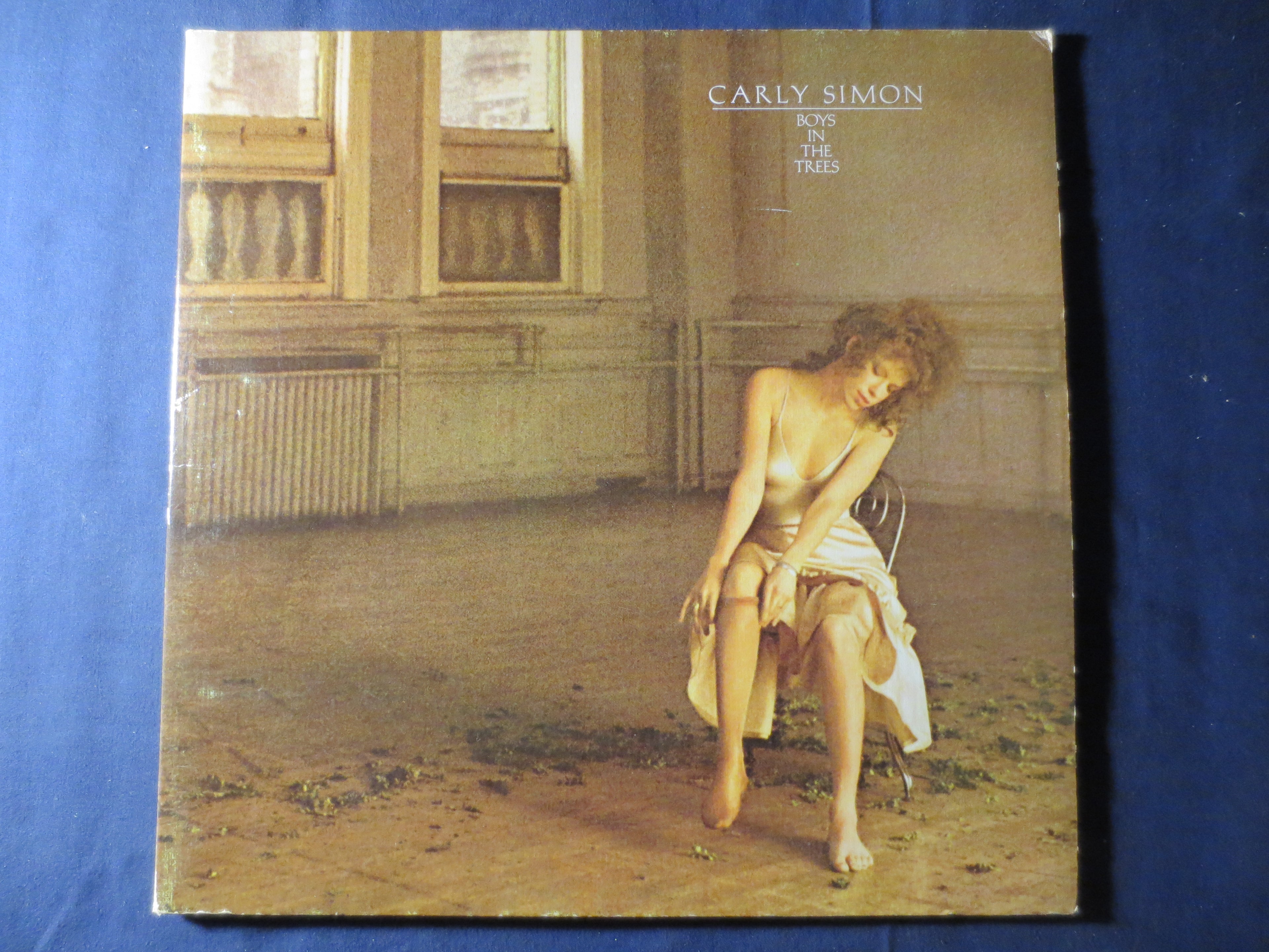 CARLY SIMON, Boys in the Trees, Vintage Album, 1978 Record, Vinyl Lp
