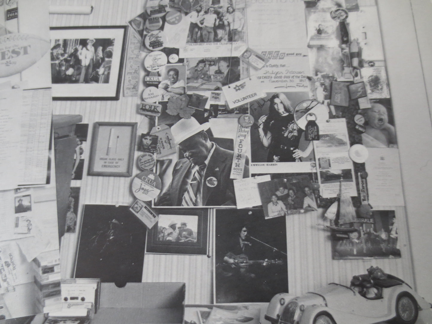 STONEY PLAINS, SAMPLER Records, Dixie Flyers Records, Vintage Vinyl, Buckwheat Zydeco, King Biscuit Boy, Lps, 1986 Records