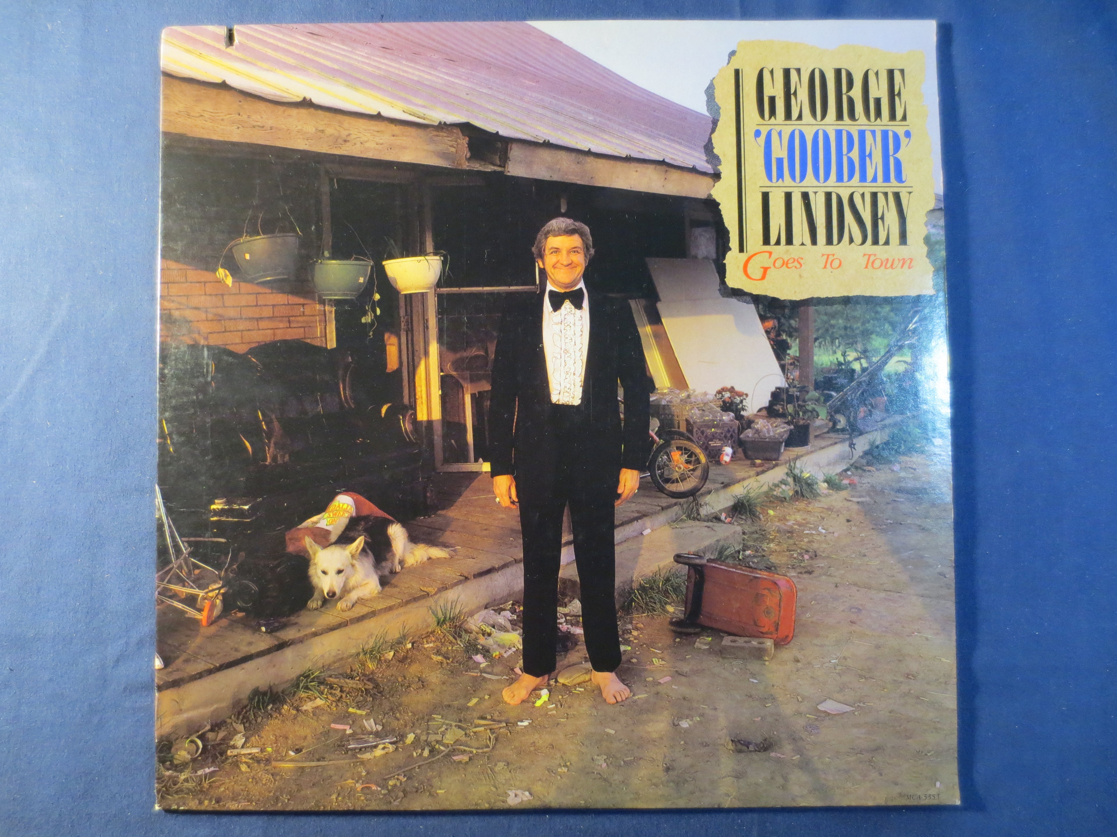 GEORGE LINDSEY, Goober Goes to Town, Vintage Album, 1982 Record, Vinyl Lp