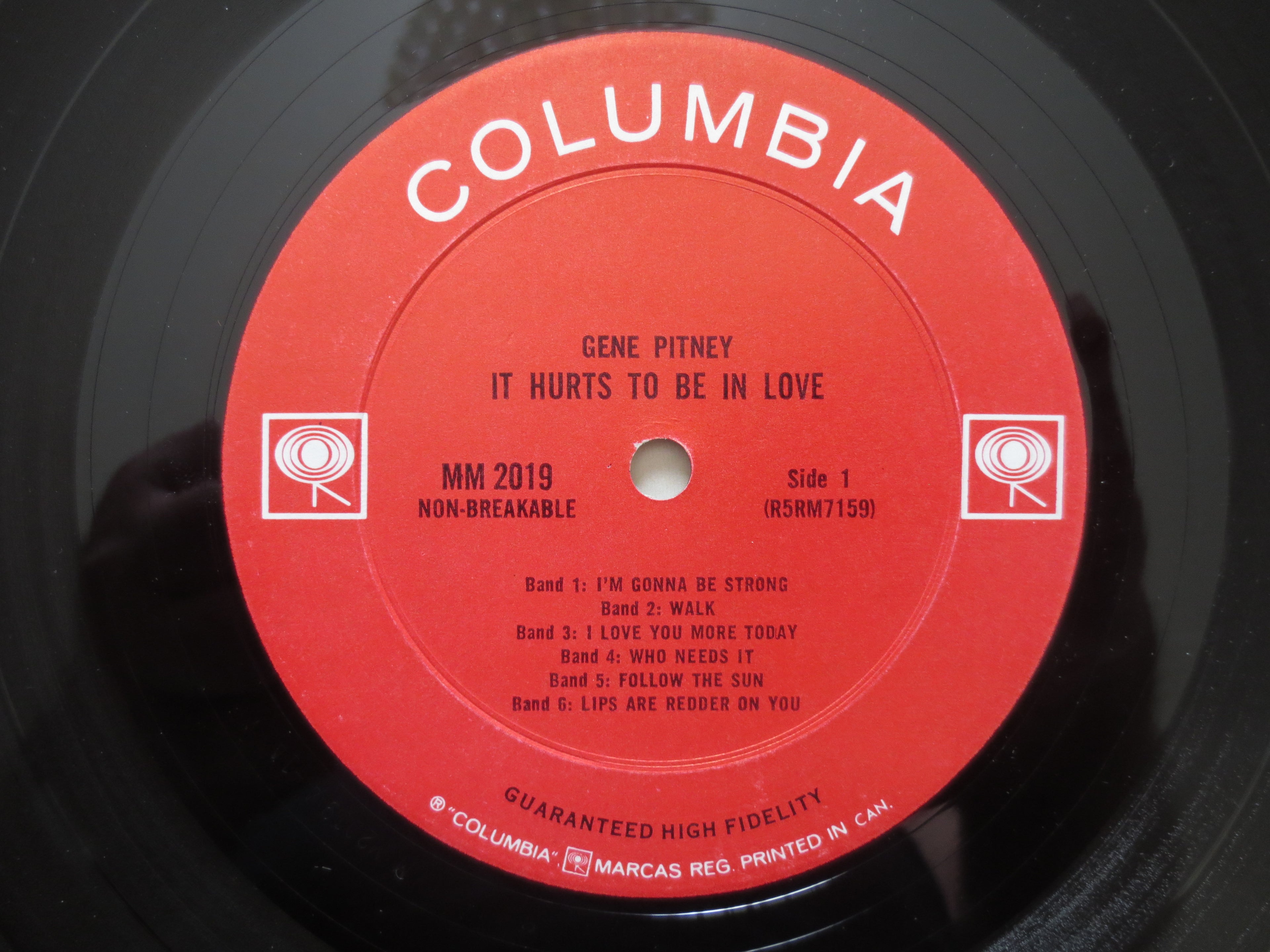 Gene Pitney – It Hurts to Be in Love (1964) Vinyl LP