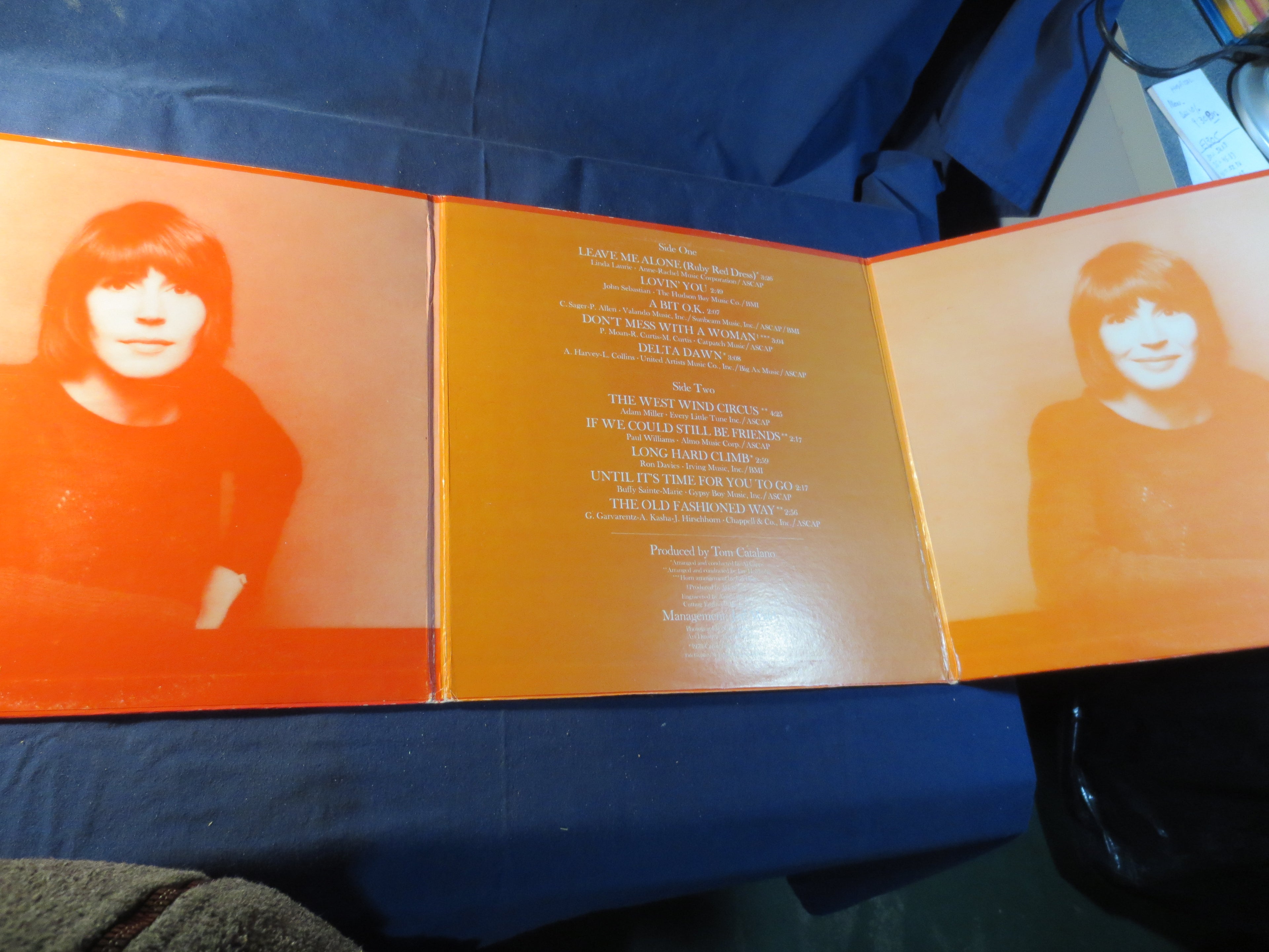 HELEN REDDY, Long Hard Climb, Helen Reddy Album, Helen Reddy Vinyl, Helen Reddy Lp, Vintage Vinyl, Lps, 1973 Records