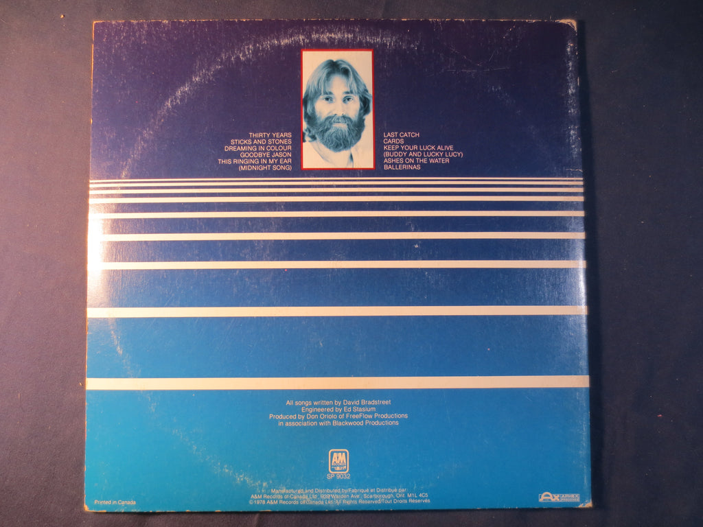 David Bradstreet – Dreaming in Colour (1978) Vinyl LP