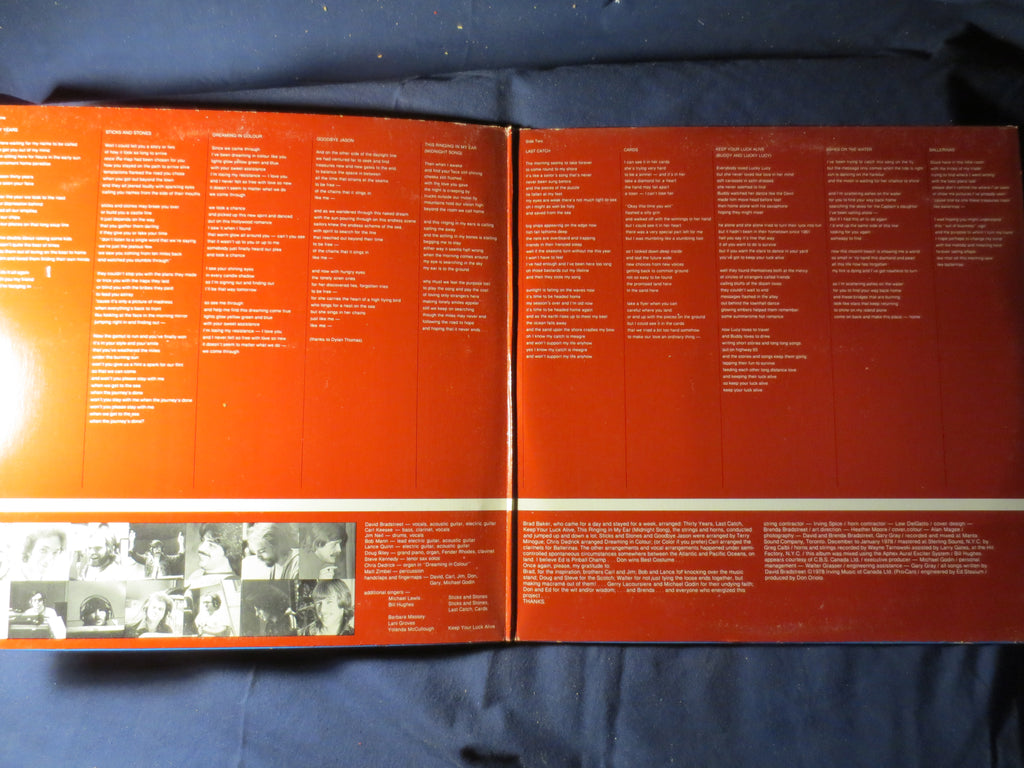 David Bradstreet – Dreaming in Colour (1978) Vinyl LP