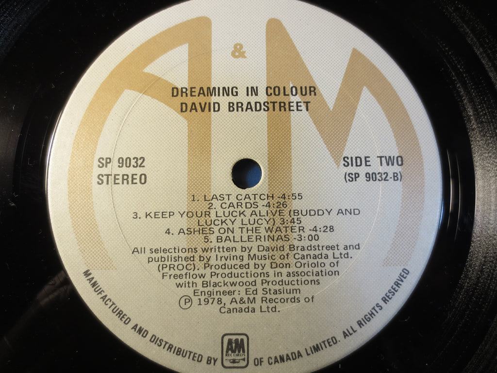 David Bradstreet – Dreaming in Colour (1978) Vinyl LP