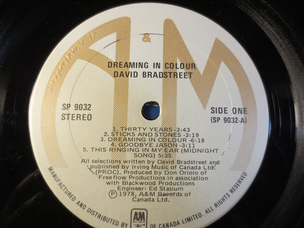 David Bradstreet – Dreaming in Colour (1978) Vinyl LP
