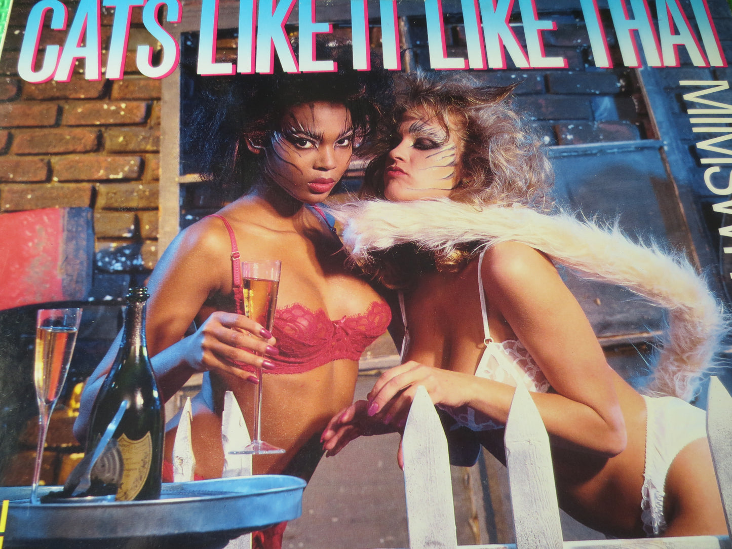 MIMSWHIMS, CATS LIKE It, Mimswhims Records, Vintage Vinyl, Record Vinyl, Record, Vinyl Record, Rock Record, 1988 Records