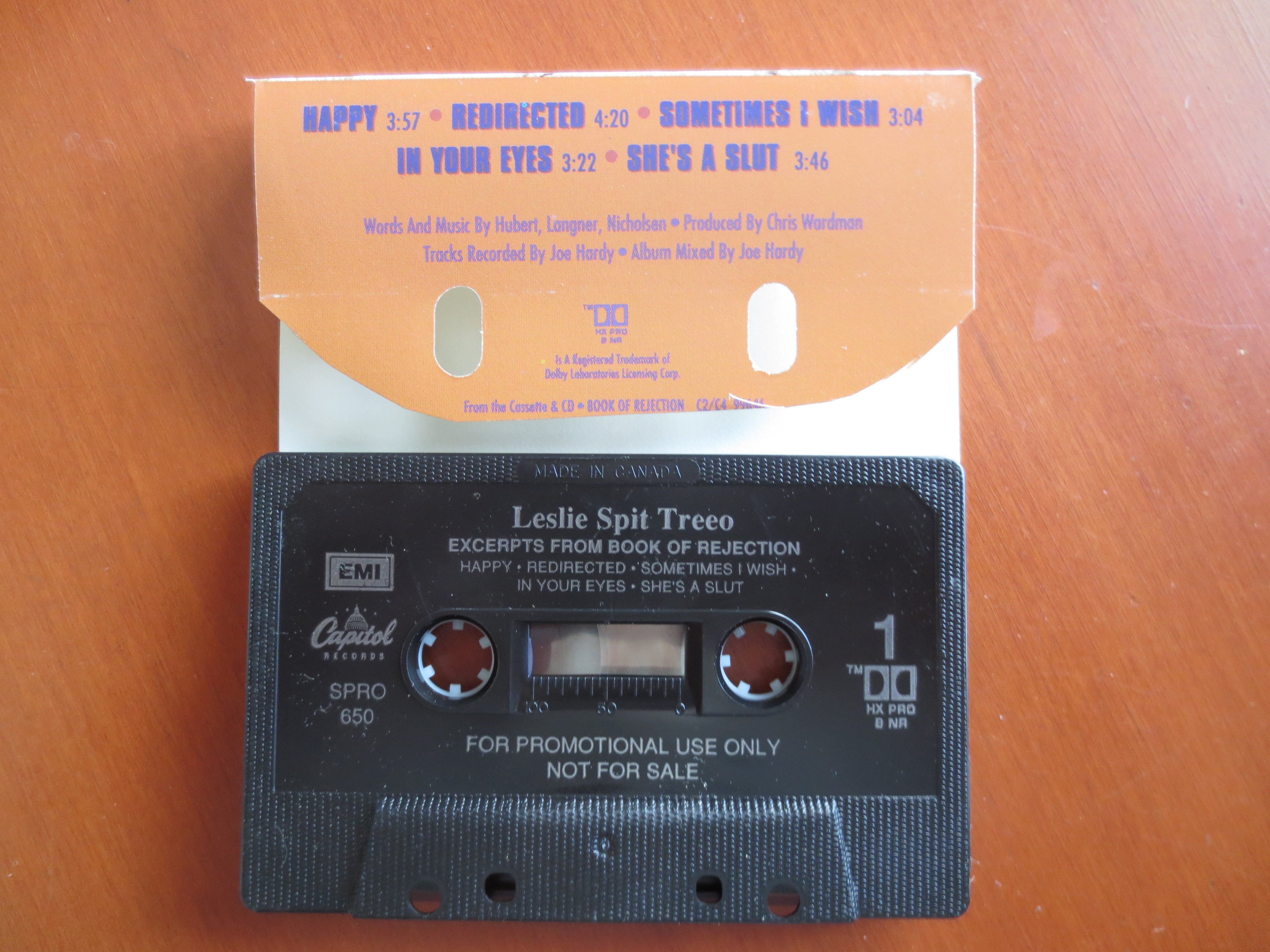 Leslie Spit Treeo – Book of Rejection (1992) Cassette