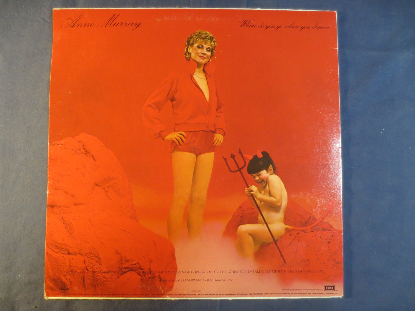 ANNE MURRAY, Where Do You Go When You Dream, Anne Murray Record, Anne Murray Album, Anne Murray Lp, Country, 1981 Records