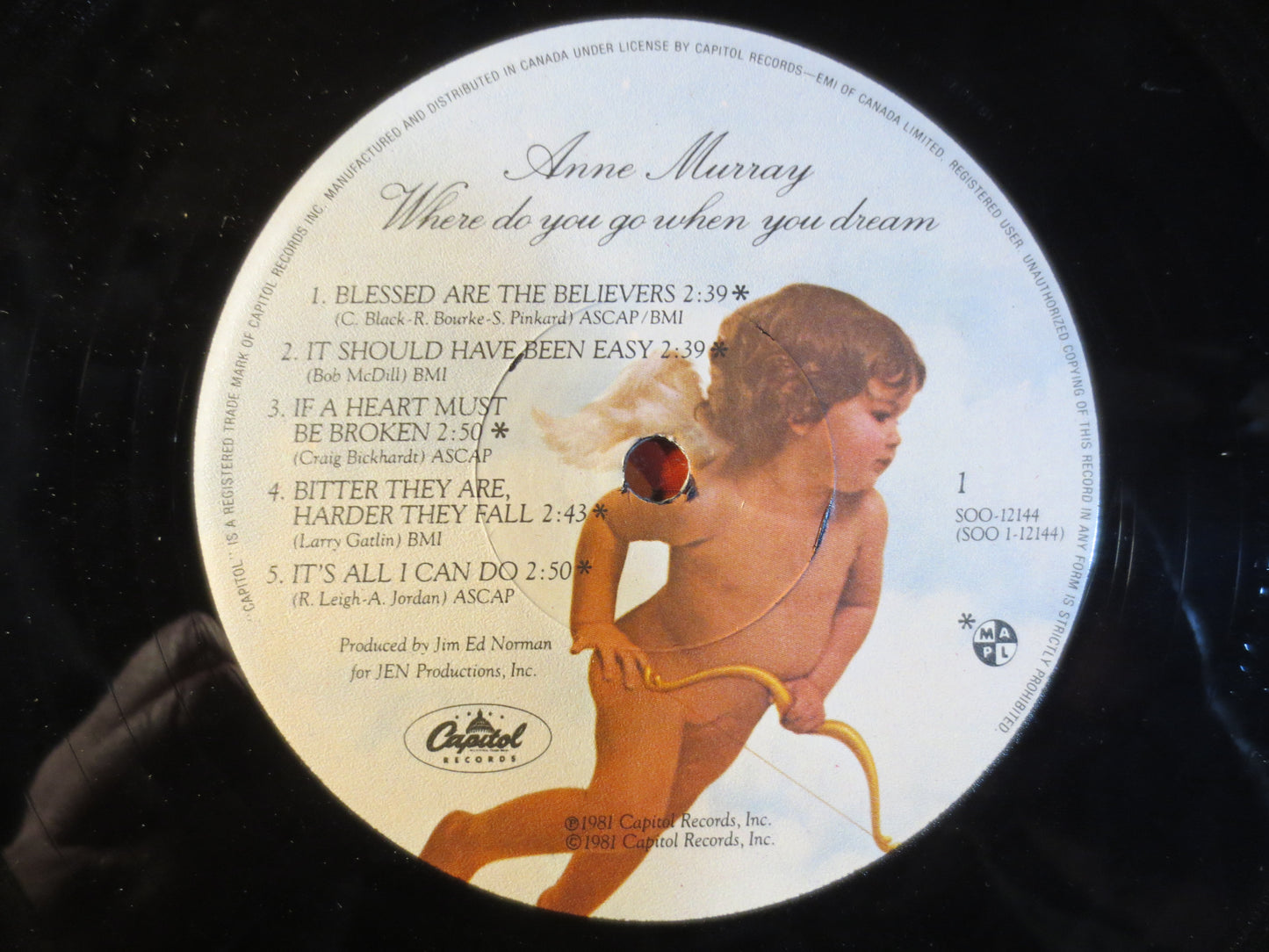 ANNE MURRAY, Where Do You Go When You Dream, Anne Murray Record, Anne Murray Album, Anne Murray Lp, Country, 1981 Records