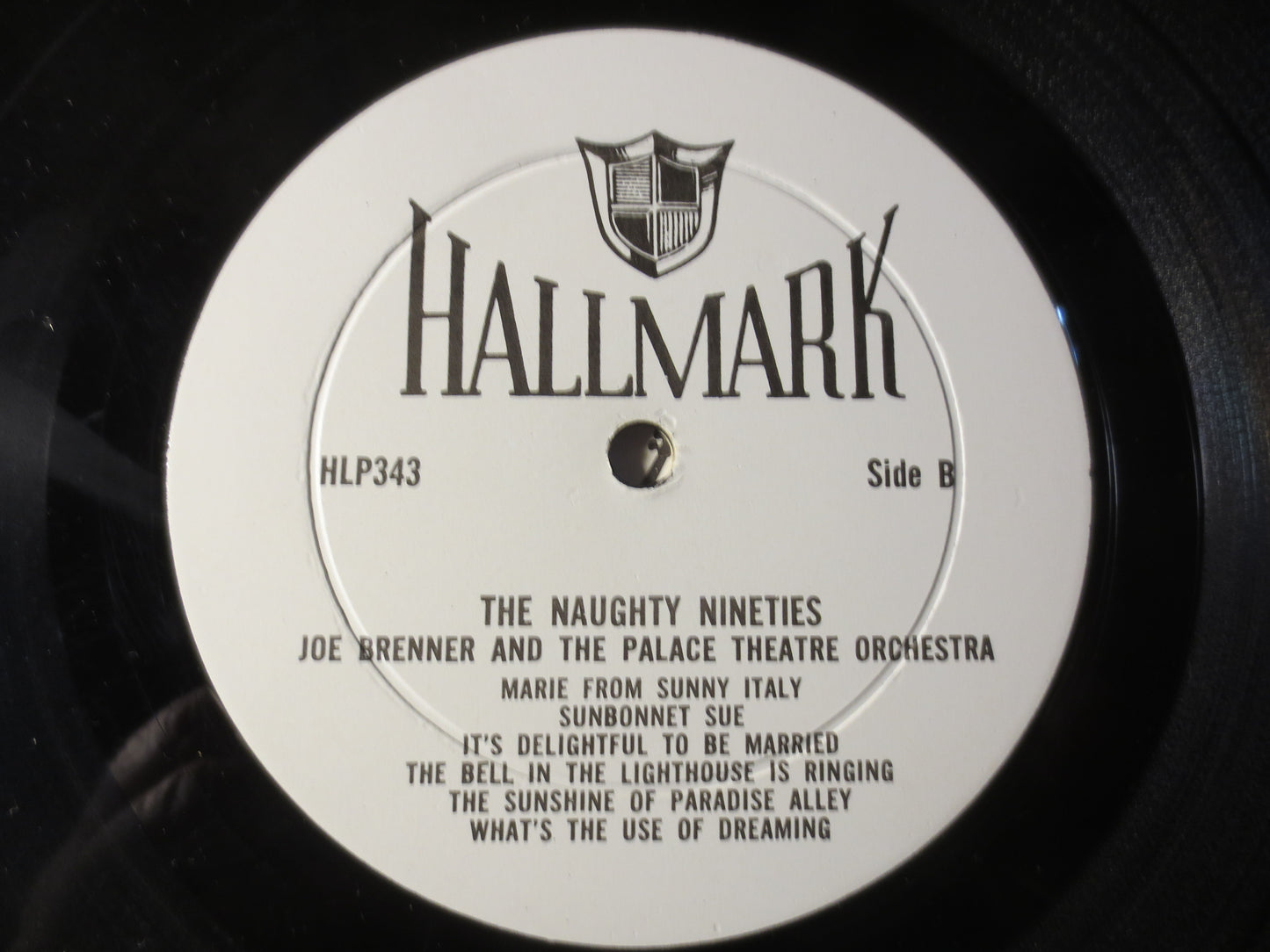 The GAY NINETIES, The NAUGHTY Nineties, Joe Brenner, Ragtime Records, Honky Tonk Records, Vintage Vinyl, Lps, Vinyl Record