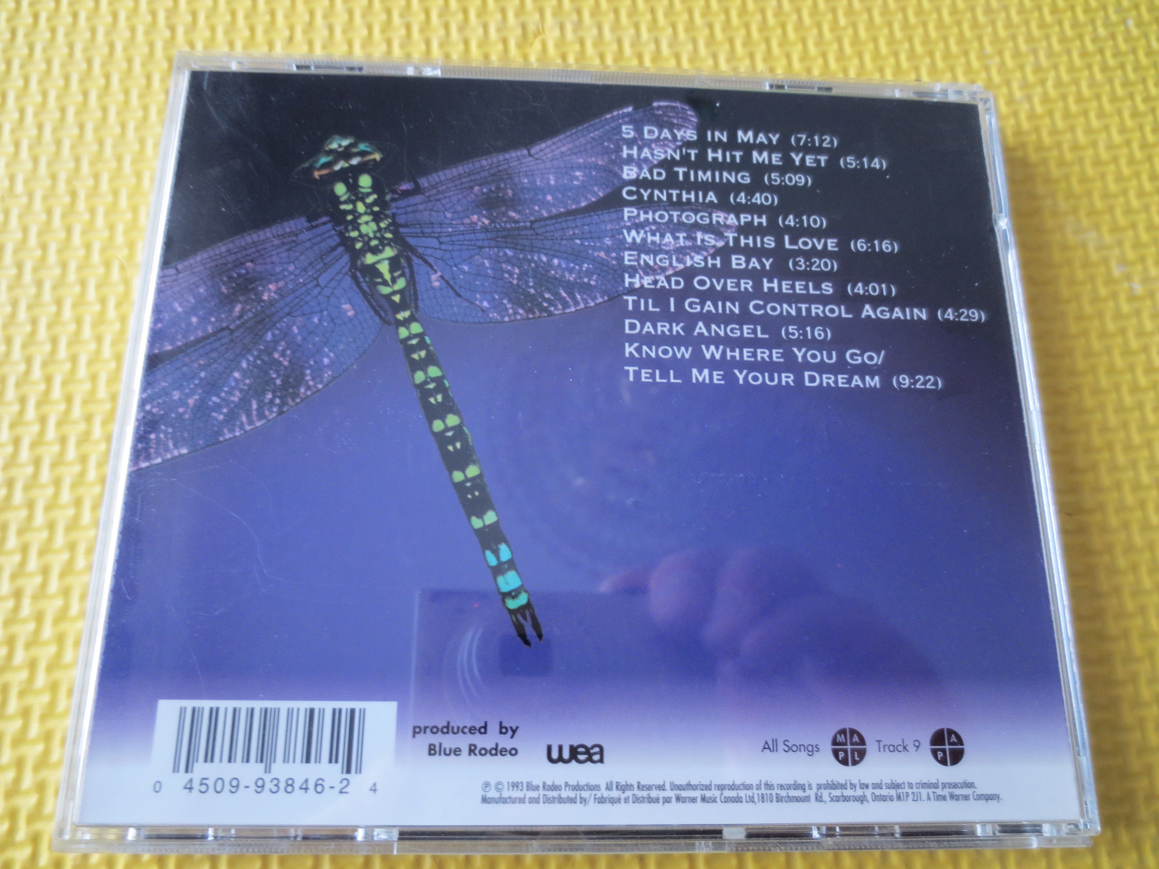 Blue Rodeo – Five Days in July (1993) CD