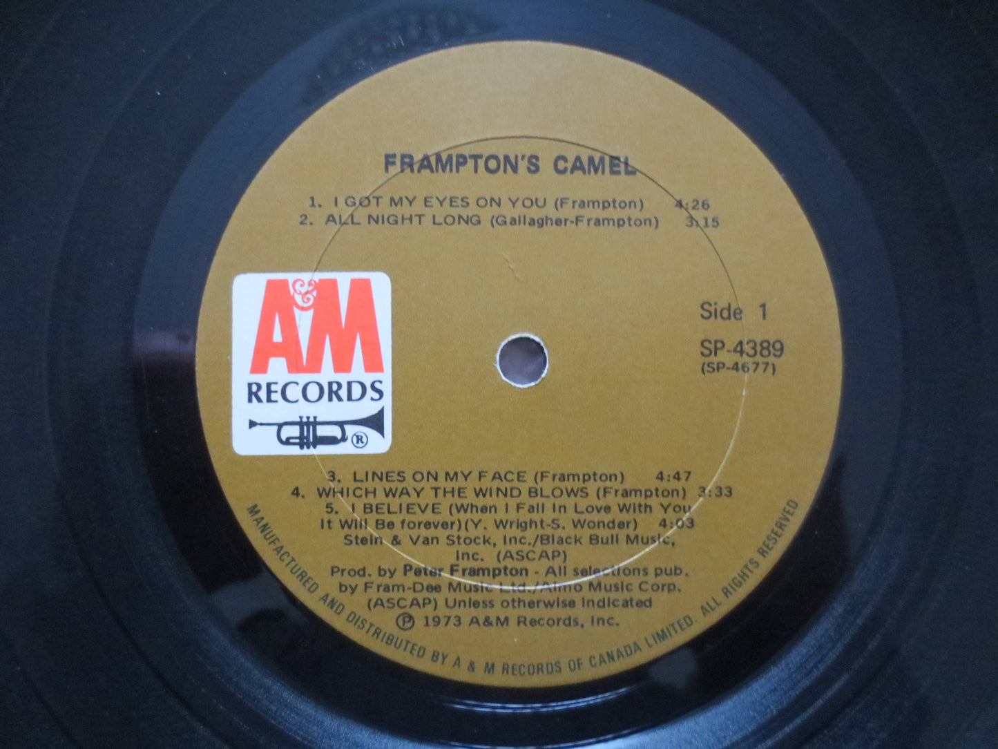 PETER FRAMPTON, Frampton's CAMEL, Peter Frampton Album, Vintage Vinyl, Peter Frampton Vinyl, Peter Frampton Lp, 1973 Records
