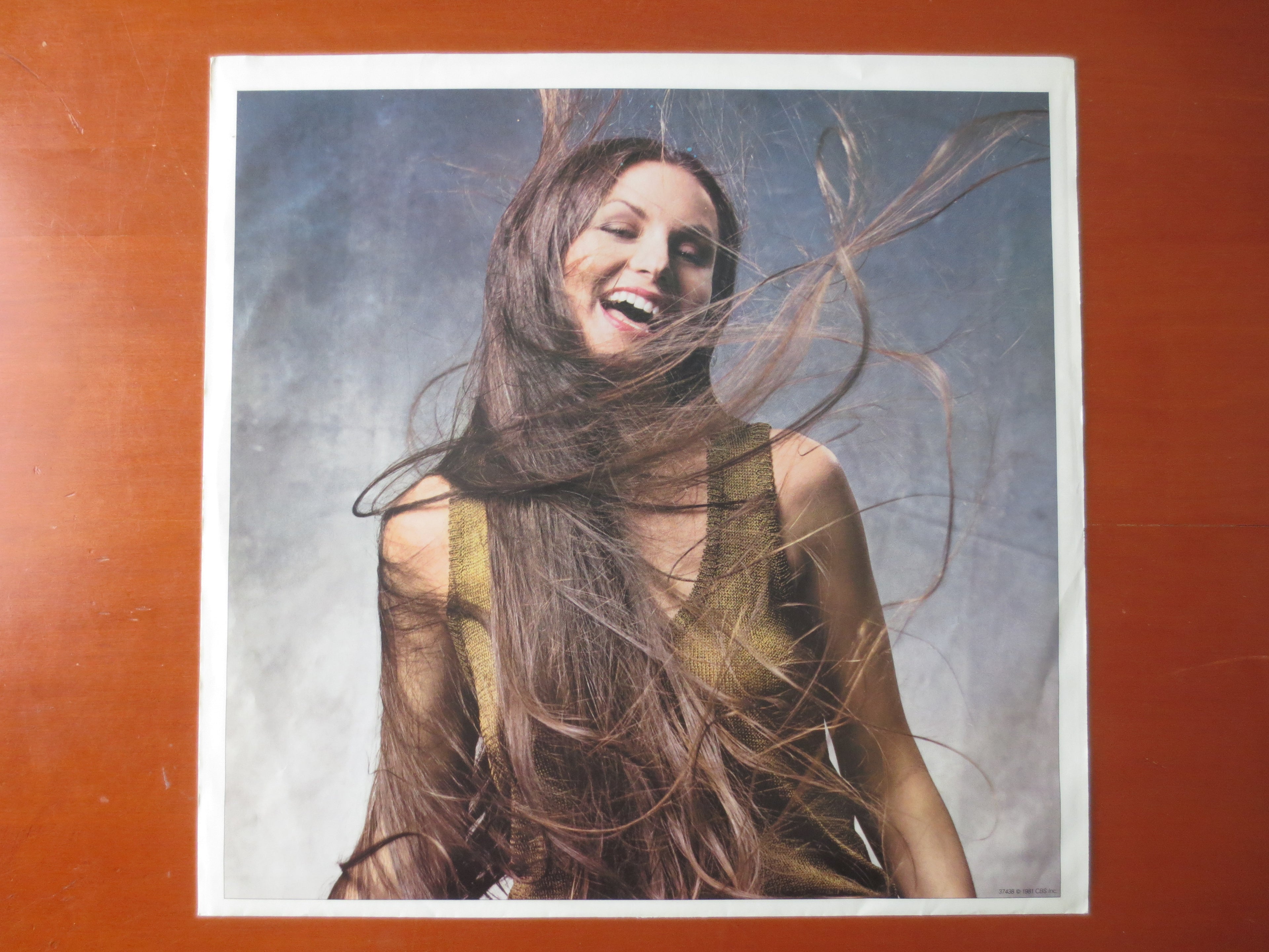 Crystal Gayle – Hollywood Tennessee (1981) [Vinyl LP]