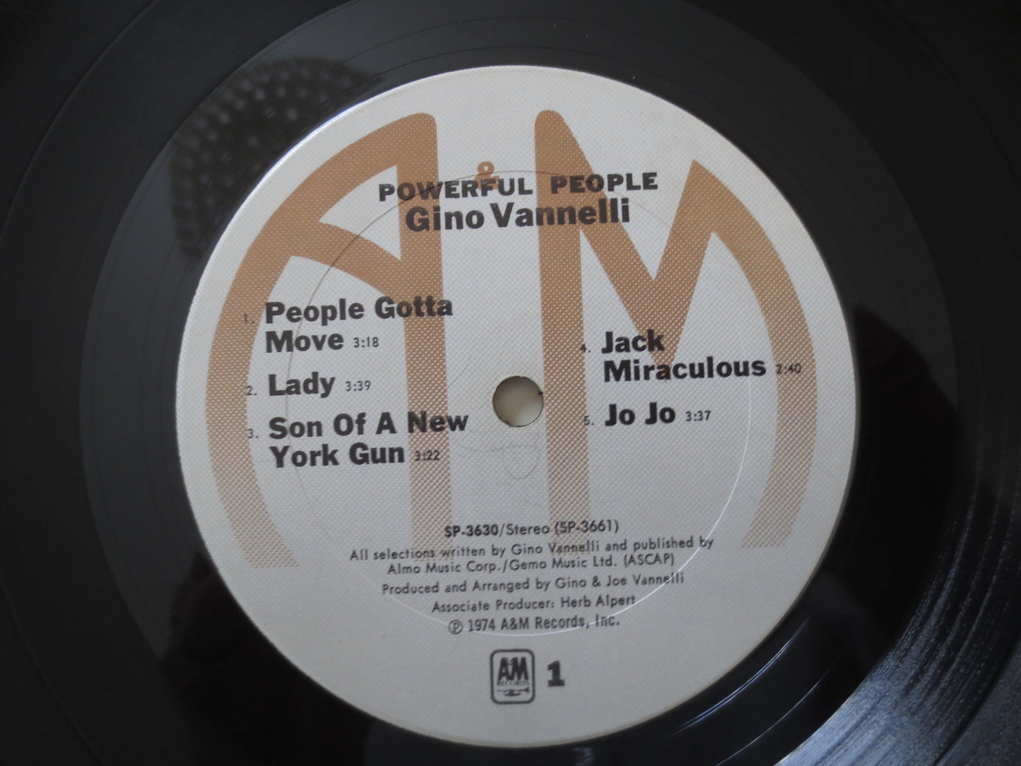 GINO VANNELLI, Powerful PEOPLE, Rock Record, Rock Vinyl, Vintage Vinyl, Record Vinyl, Vinyl Record, Vinyl Lps, 1974 Records