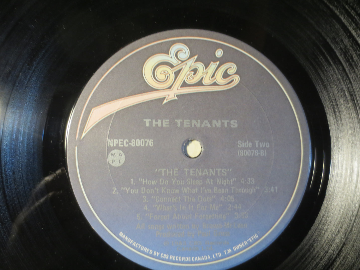 The TENANTS, The TENANTS Records, The Tenants Vinyl, The Tenants Album, The Tenants Lp, Vintage Vinyl Rock, Vinyl Album, 1983 Records