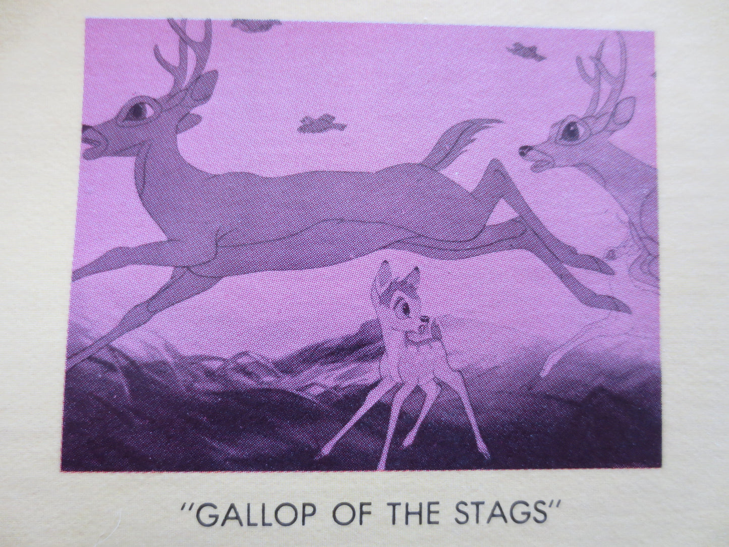 BAMBI, DISNEYLAND Records, DISNEY Records, Children's Records, Kids Record, Vinyl Record, Record Vinyl, Vinyl, 1963 Records