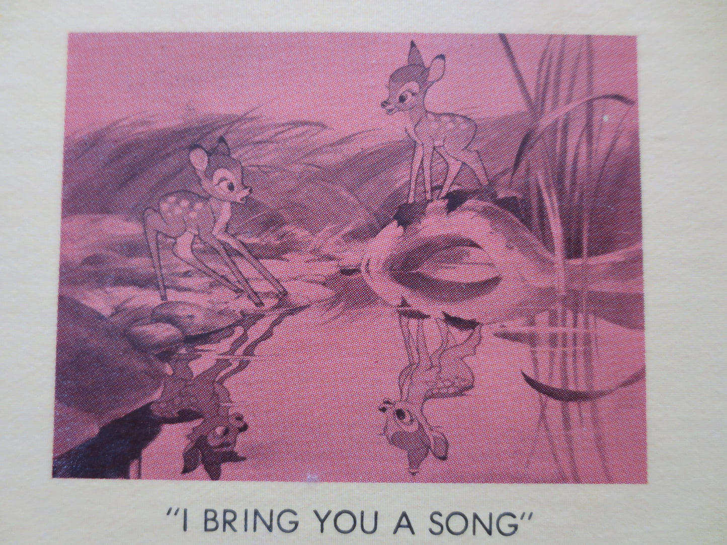 BAMBI, DISNEYLAND Records, DISNEY Records, Children's Records, Kids Record, Vinyl Record, Record Vinyl, Vinyl, 1963 Records