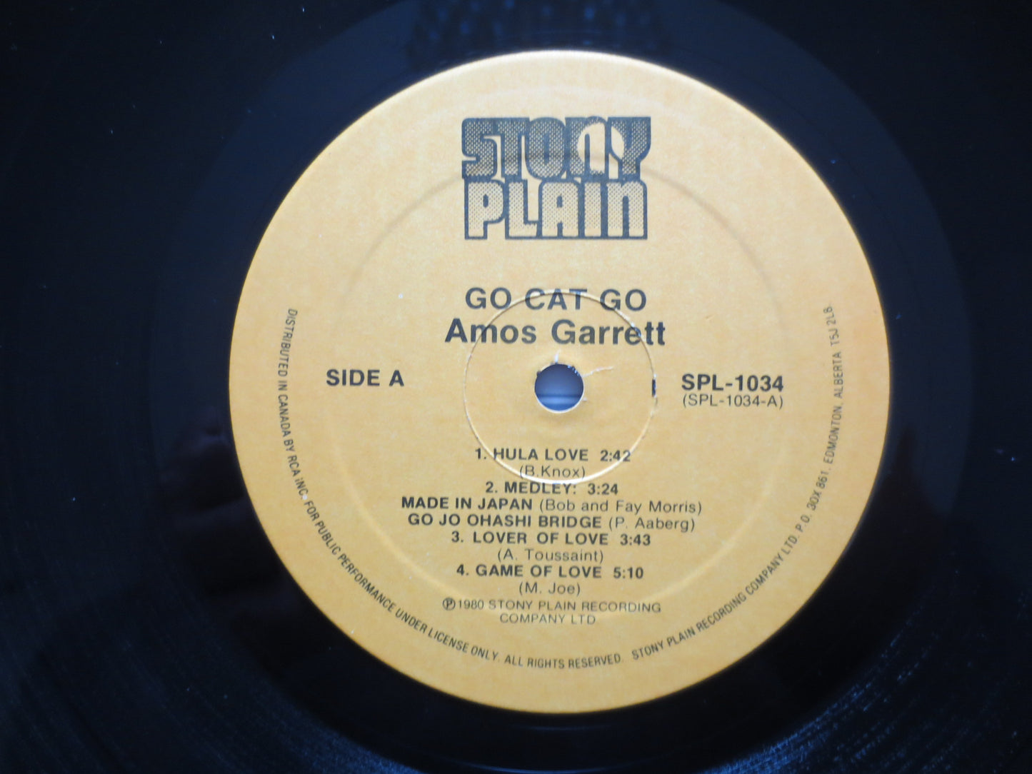 AMOS GARRETT, Go CAT Go, Amos Garrett Record, Amos Garrett Album, Amos Garrett Vinyl, Amos Garrett Lp, Vinyl, 1980 Record