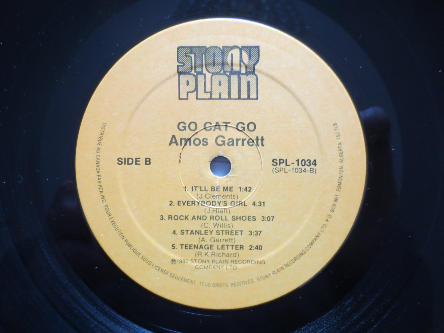 AMOS GARRETT, Go CAT Go, Amos Garrett Record, Amos Garrett Album, Amos Garrett Vinyl, Amos Garrett Lp, Vinyl, 1980 Record