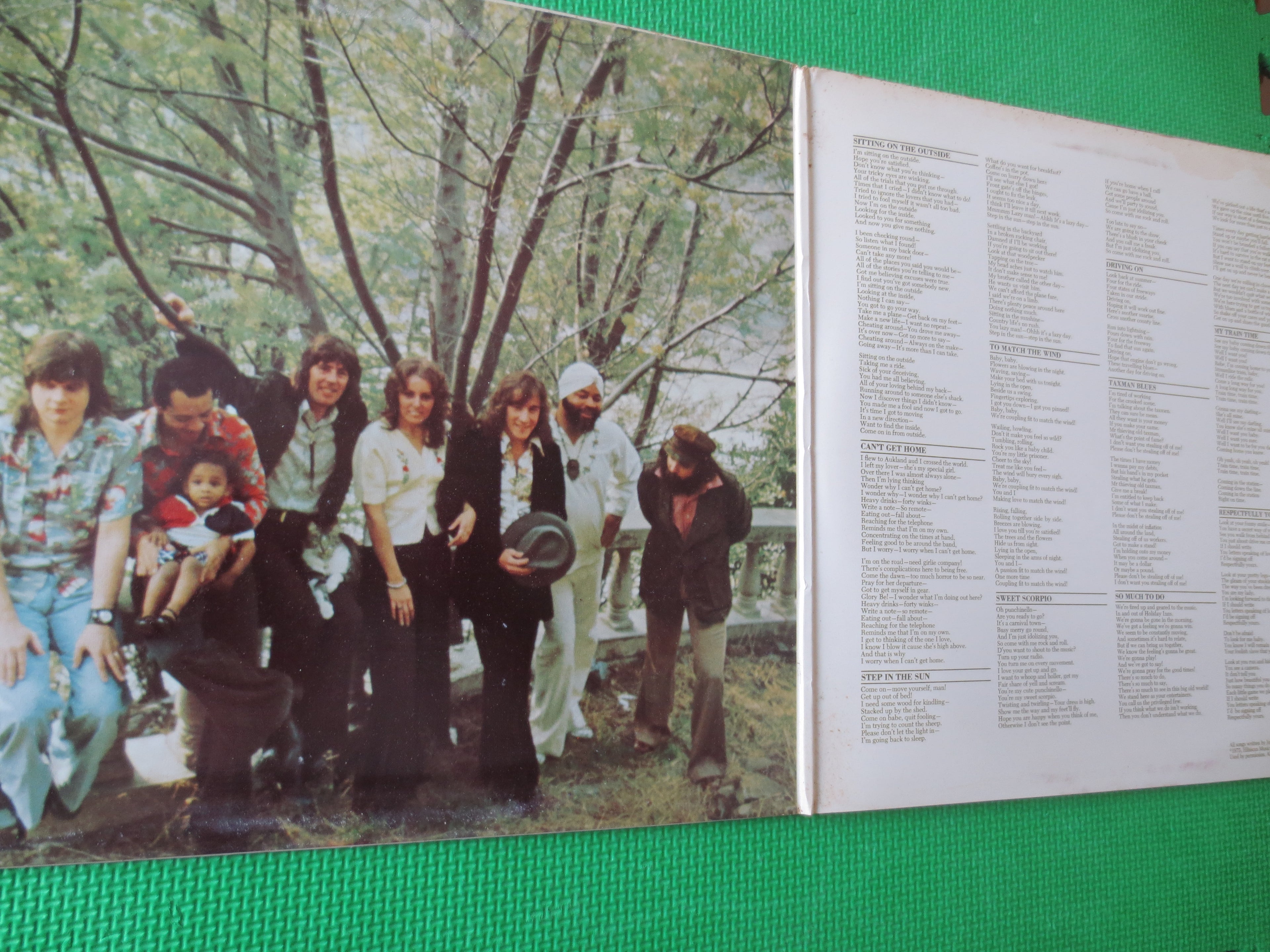 John Mayall – New Year New Band New Company (1975) Vinyl LP