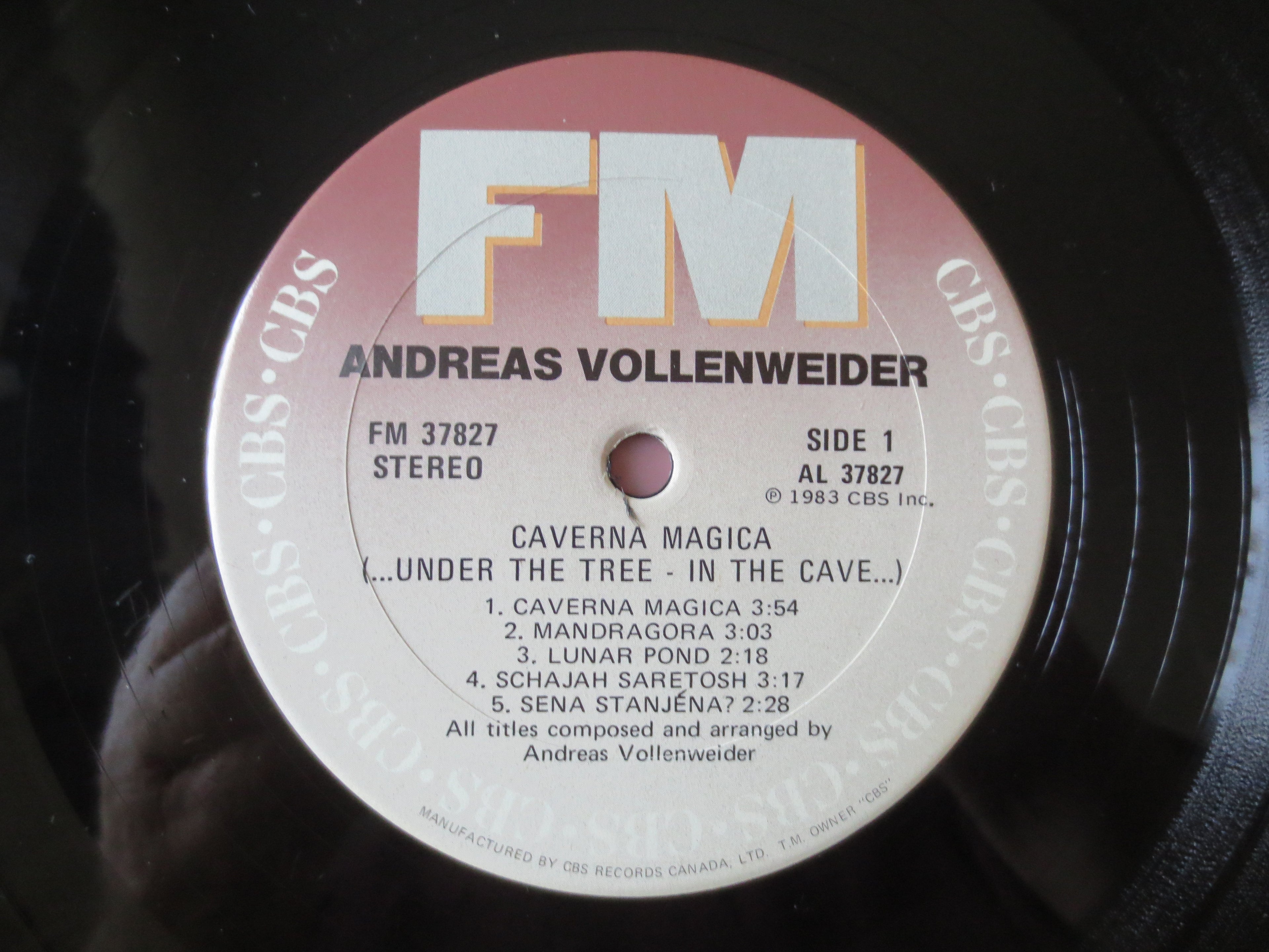 Andreas Vollenweider – Caverna Magica (1983) Vinyl LP