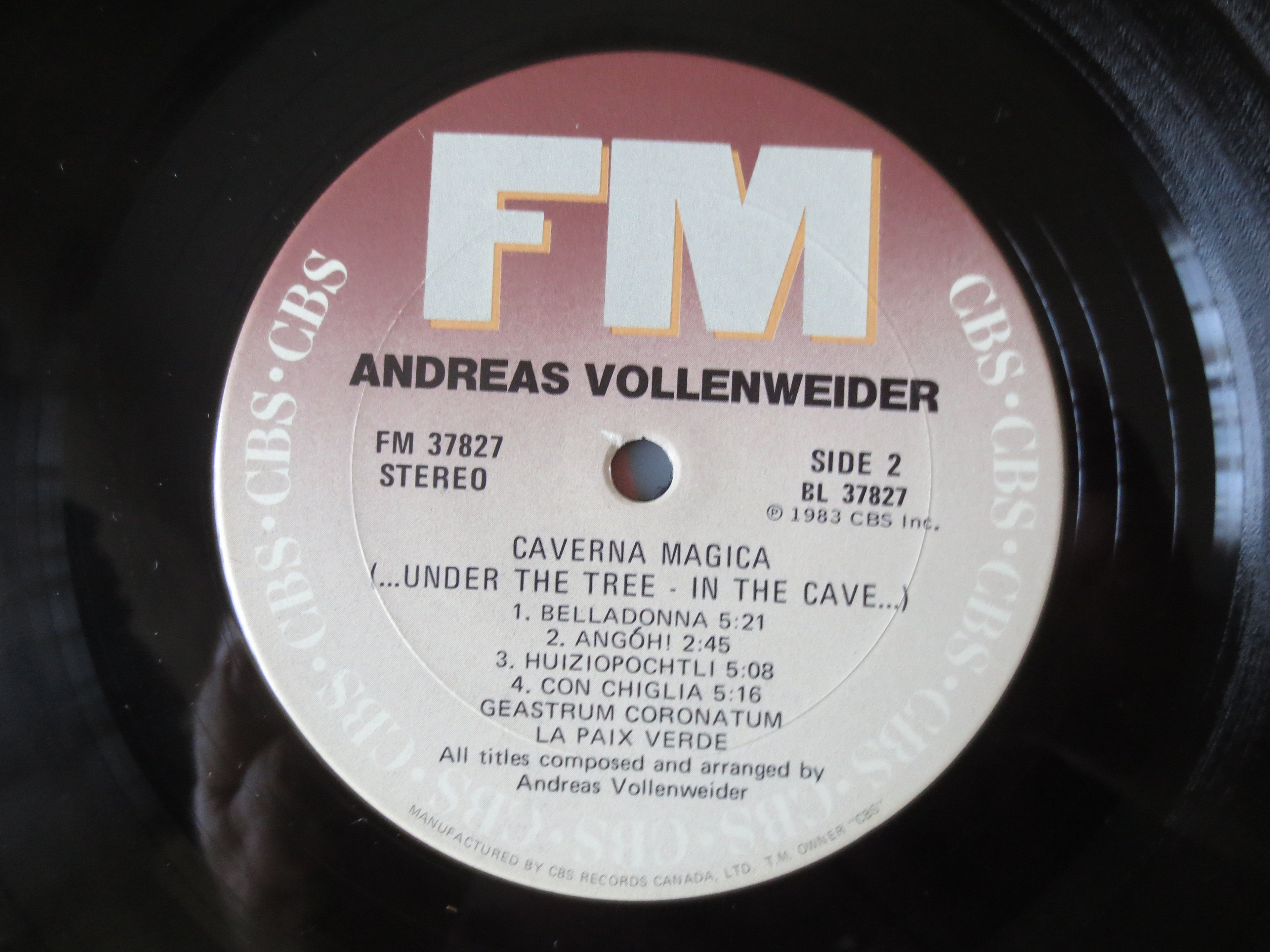 Andreas Vollenweider – Caverna Magica (1983) Vinyl LP