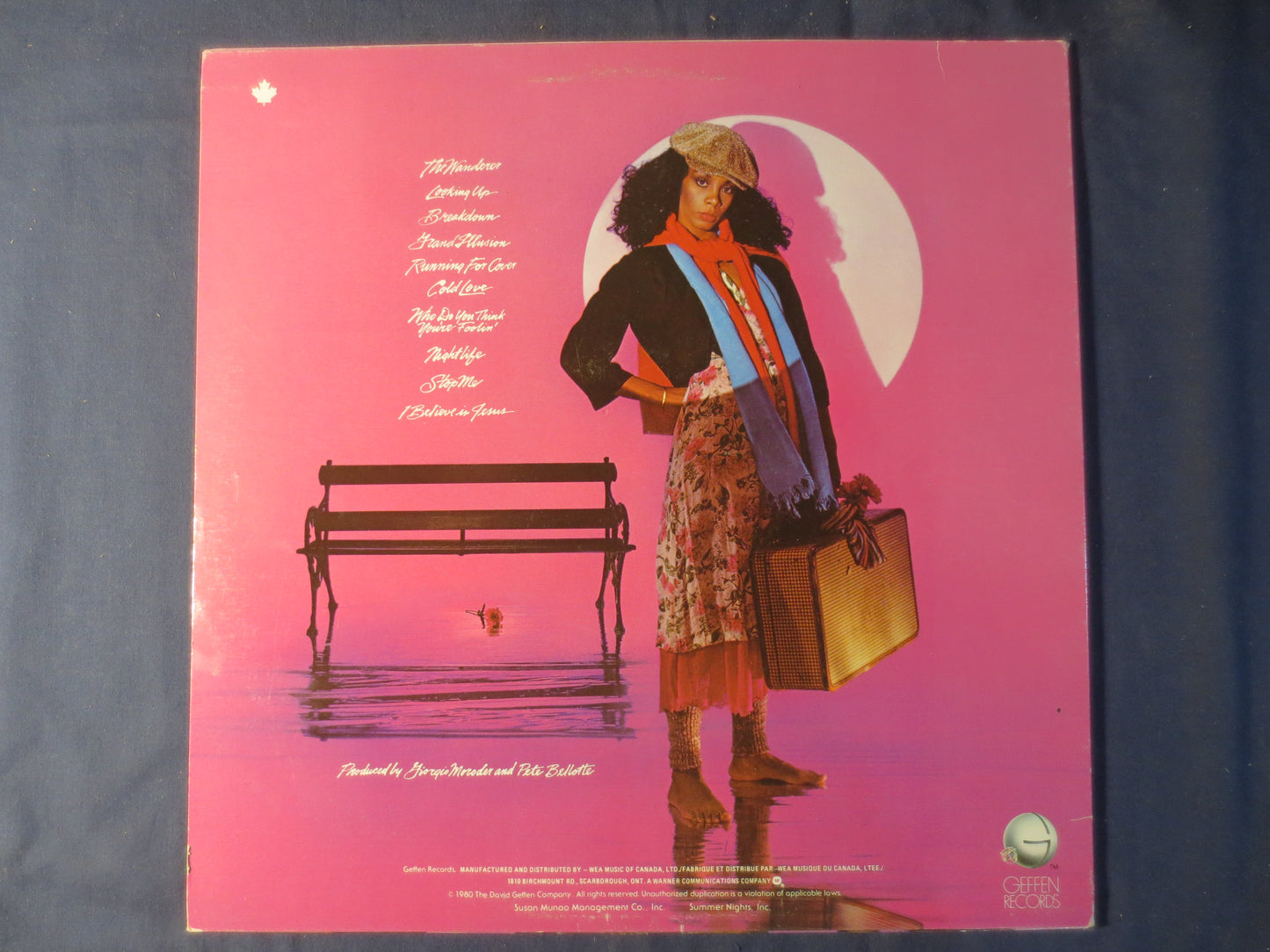 DONNA SUMMER, The WANDERER, Donna Summer Vinyl, Donna Summer Lp, Vintage Vinyl, Disco Records, Vinyl Lp, 1980 Records