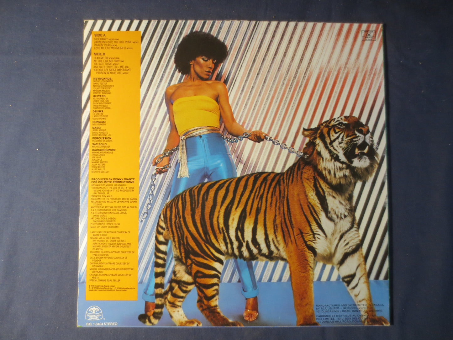 MAXINE NIGHTINGALE, LEAD Me On, Pop Record, Vintage Vinyl, Record Vinyl, Record, Vinyl Record, Vinyl Album, 1979 Records