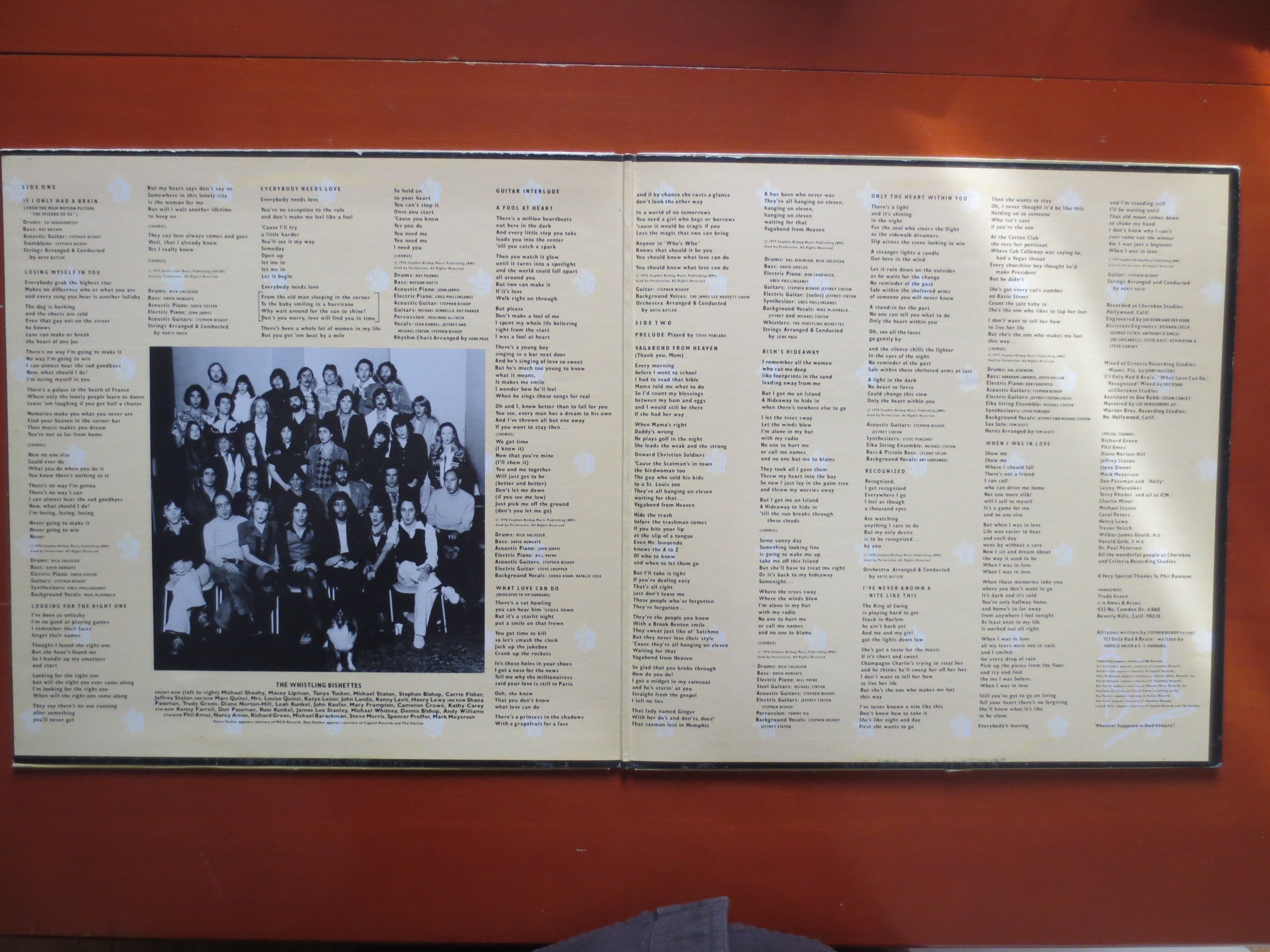 Stephen Bishop – Bish (1978) Vinyl LP