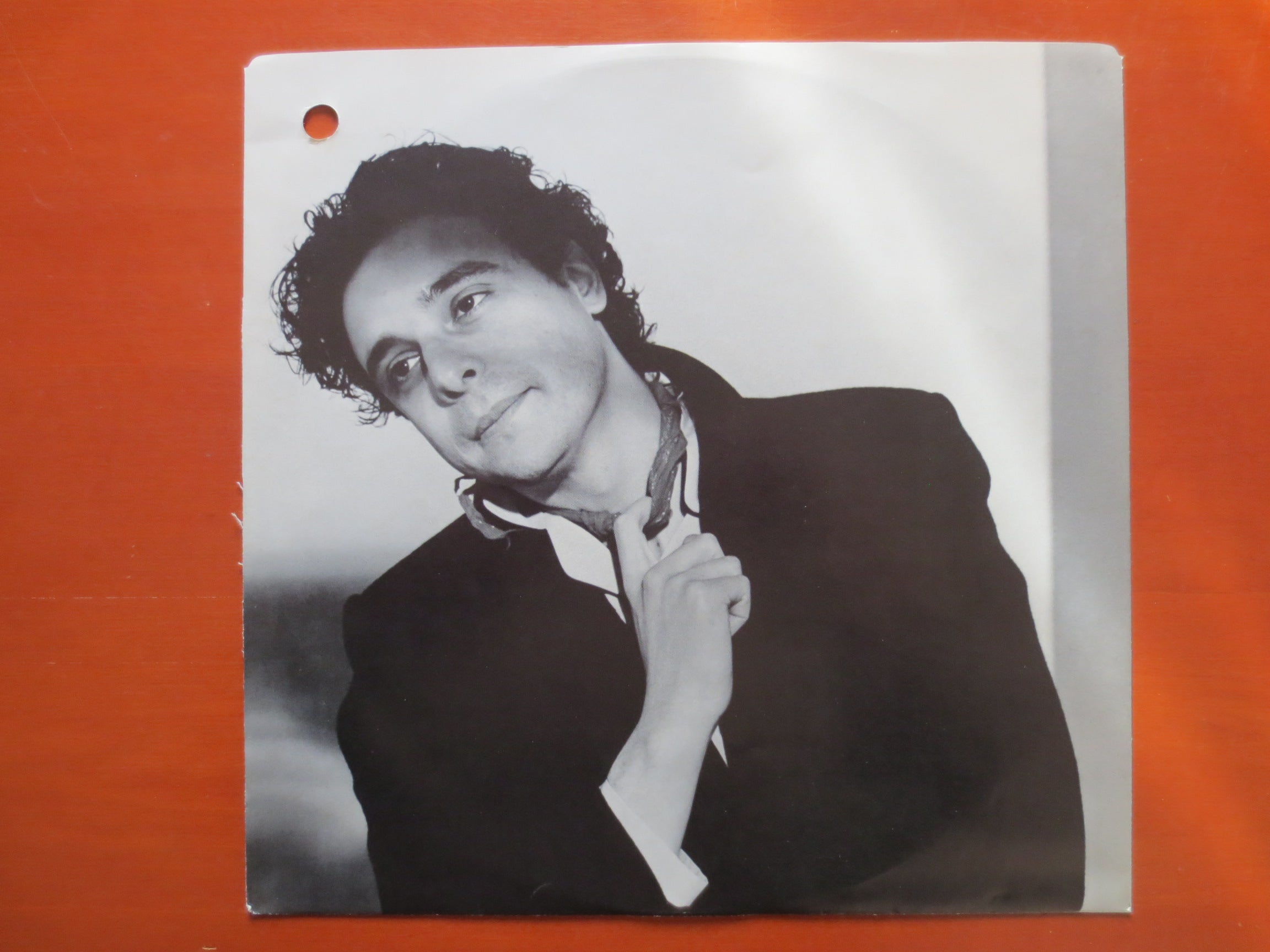 Jules Shear – Watch Dog (1983) [Vinyl LP]