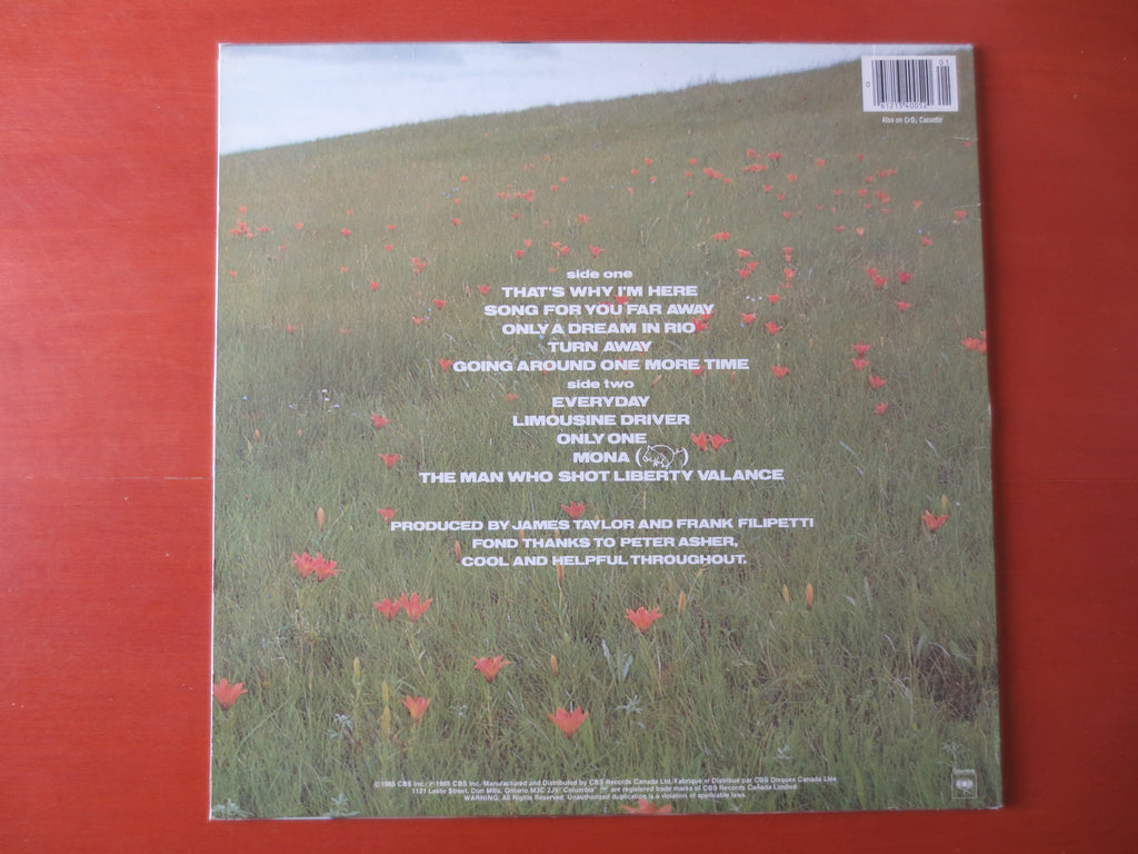 James Taylor – That's Why I'm Here (1985) Vinyl LP