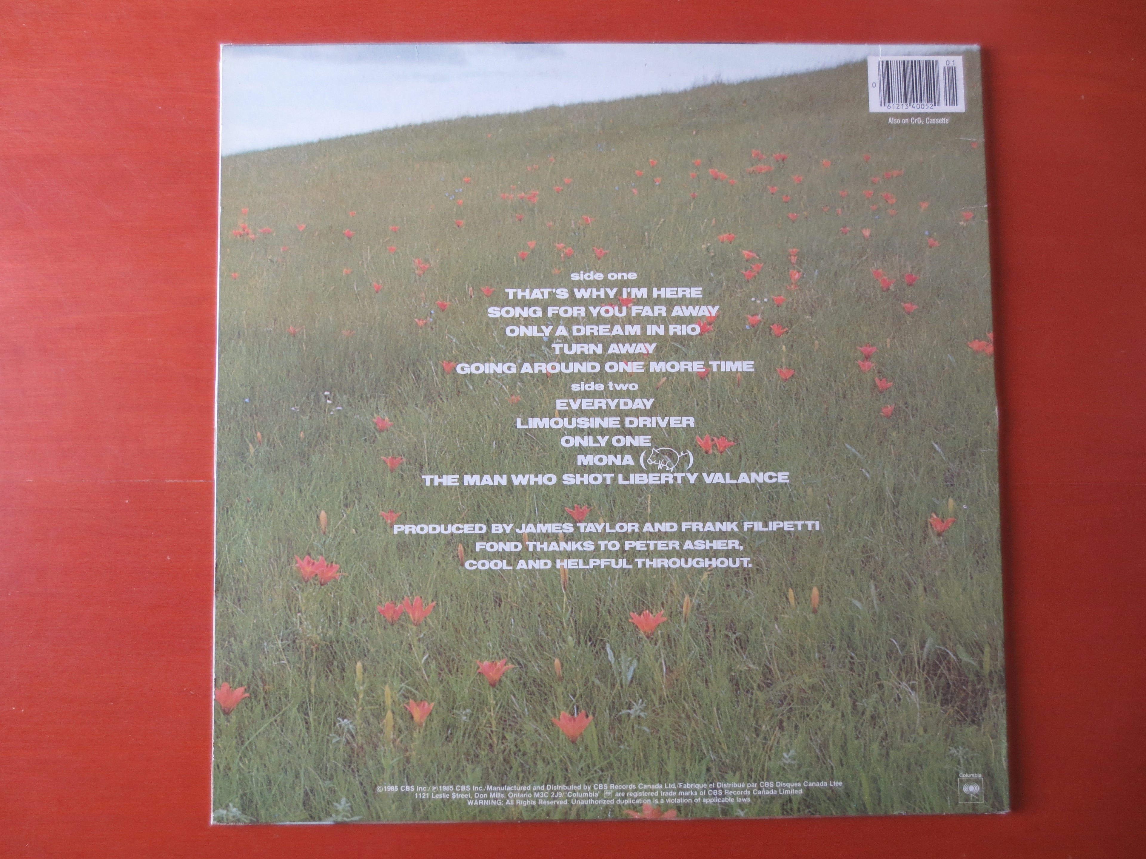 James Taylor – That's Why I'm Here (1985) Vinyl LP