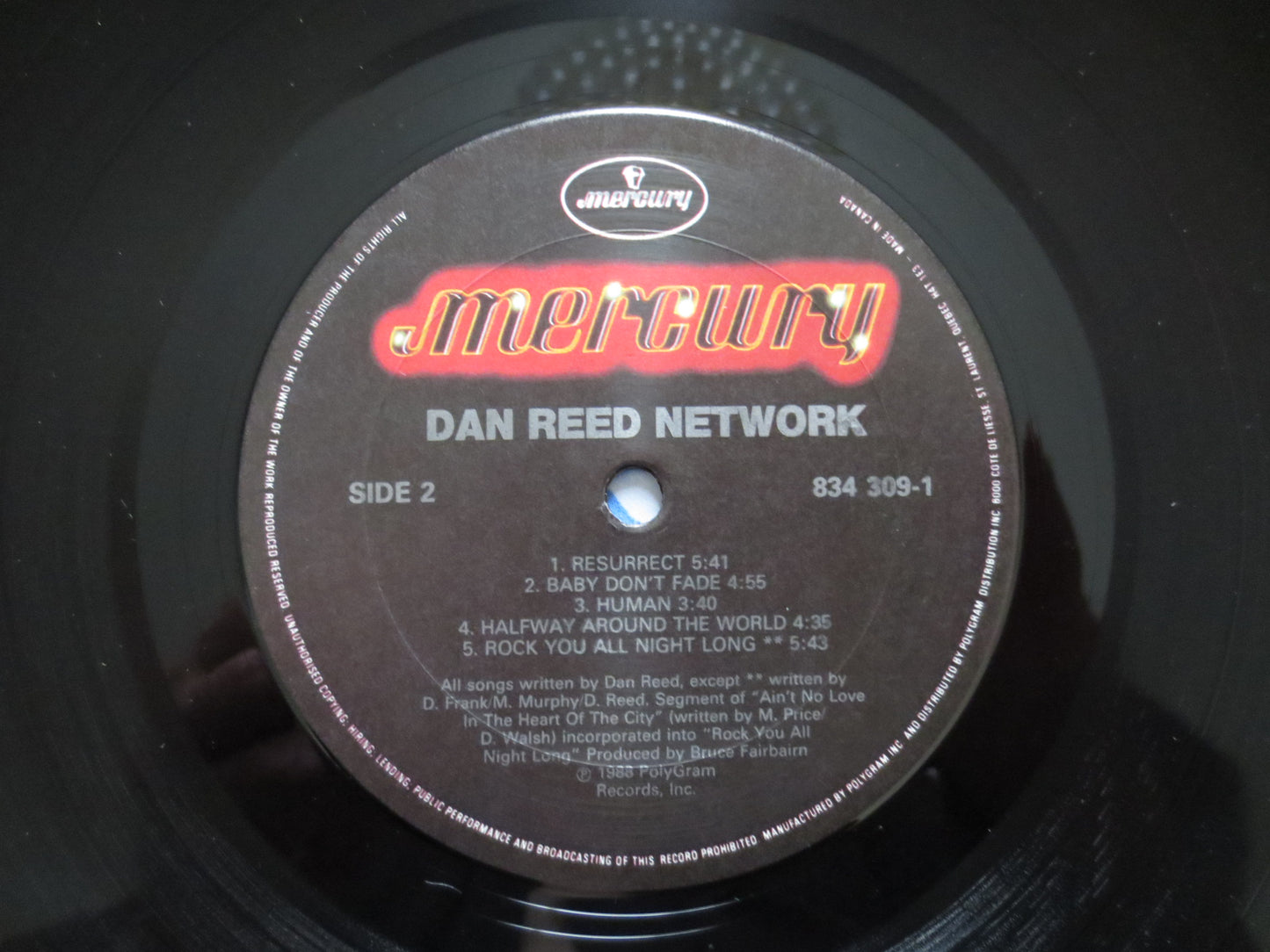DAN REED, NETWORK Album, Dan Reed Album, Dan Reed Vinyl, Dan Reed Lp, Funk Metal Lp, Metal Album, Vinyl, 1988 Records