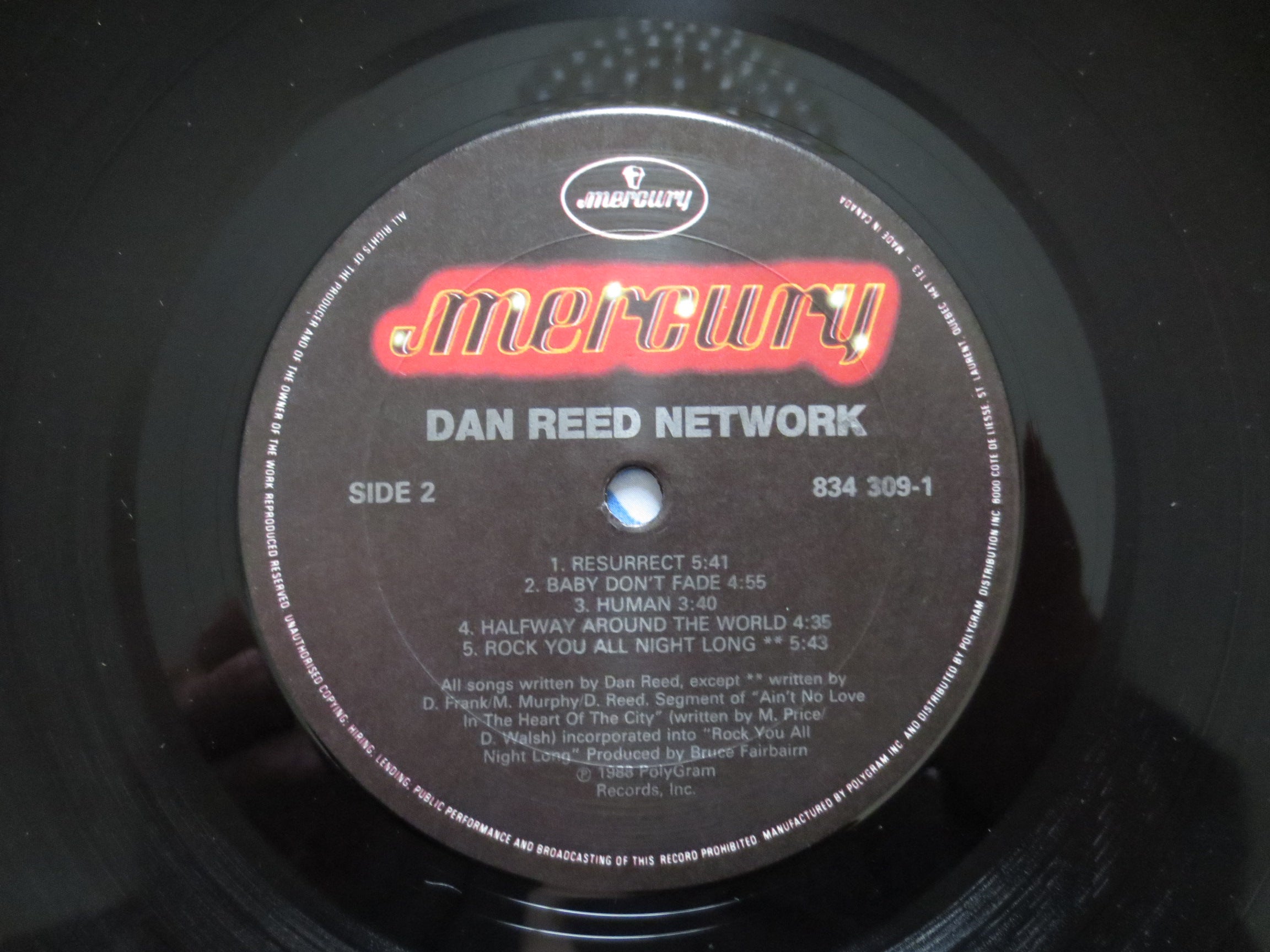 Dan Reed Network – Dan Reed Network (1988) Vinyl LP