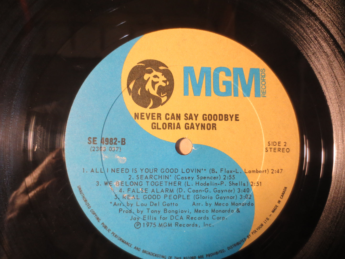 GLORIA GAYNOR, Never Can Say Goodbye, Gloria Gaynor Albums, Vintage Vinyl, Vinyl Records, Vinyl, Record Vinyl, 1975 Records