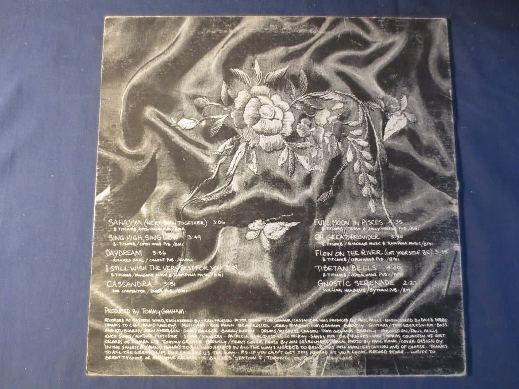 Brent Titcomb – May All Beings Be Happy (1980) Vinyl LP