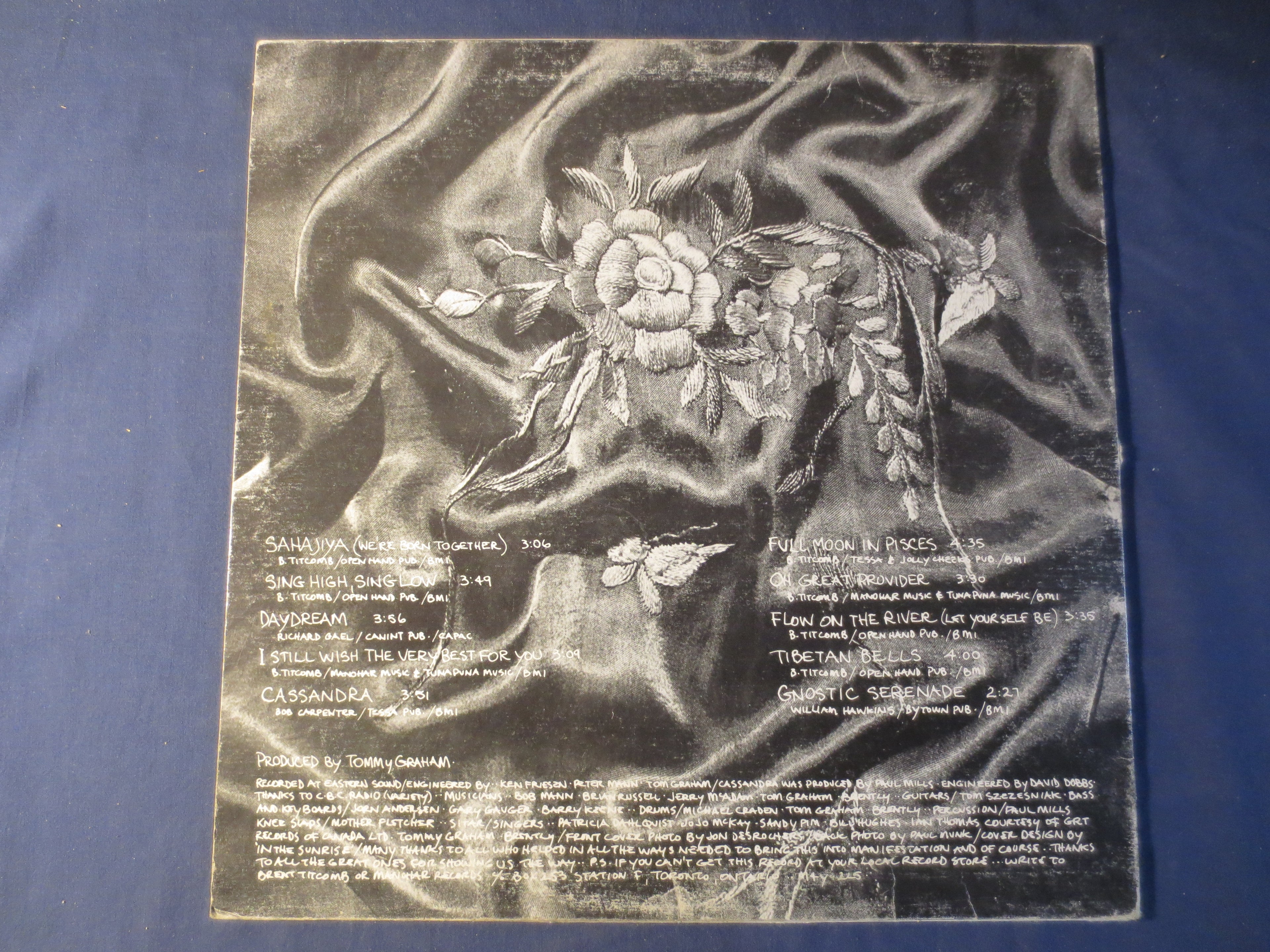 Brent Titcomb – May All Beings Be Happy (1980) Vinyl LP