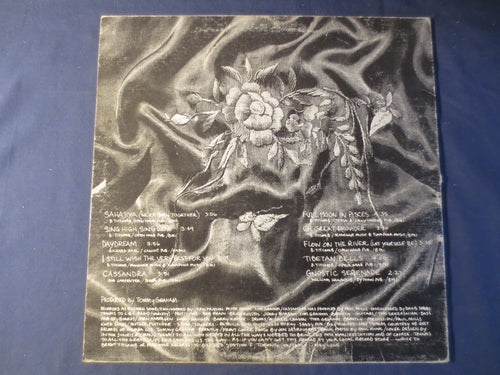 Brent Titcomb – May All Beings Be Happy (1980) Vinyl LP