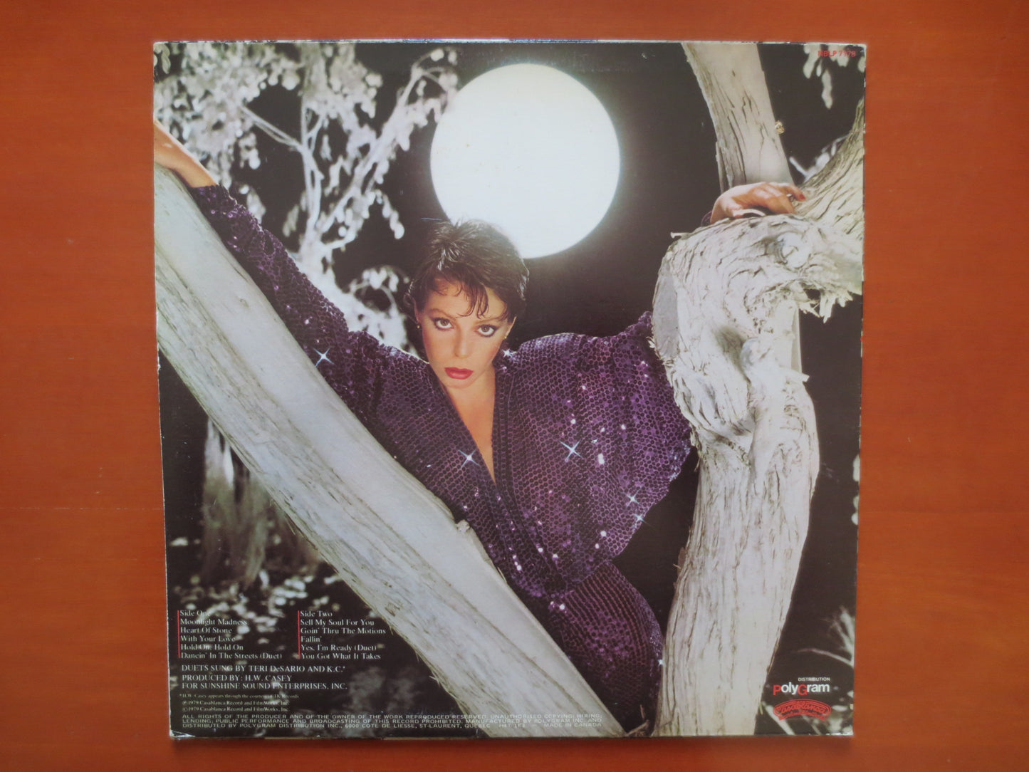 TERRI DE SARIO, Moonlight Madness Lp, Terri De Sario Album, Terri De Sario Vinyl, Disco Record, Disco Lp, 1979 Records