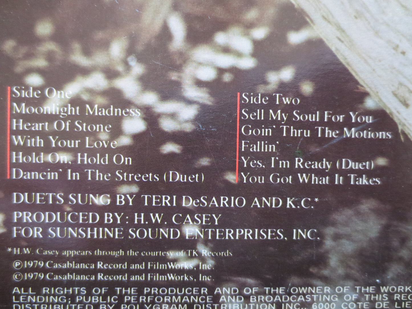 TERRI DE SARIO, Moonlight Madness Lp, Terri De Sario Album, Terri De Sario Vinyl, Disco Record, Disco Lp, 1979 Records