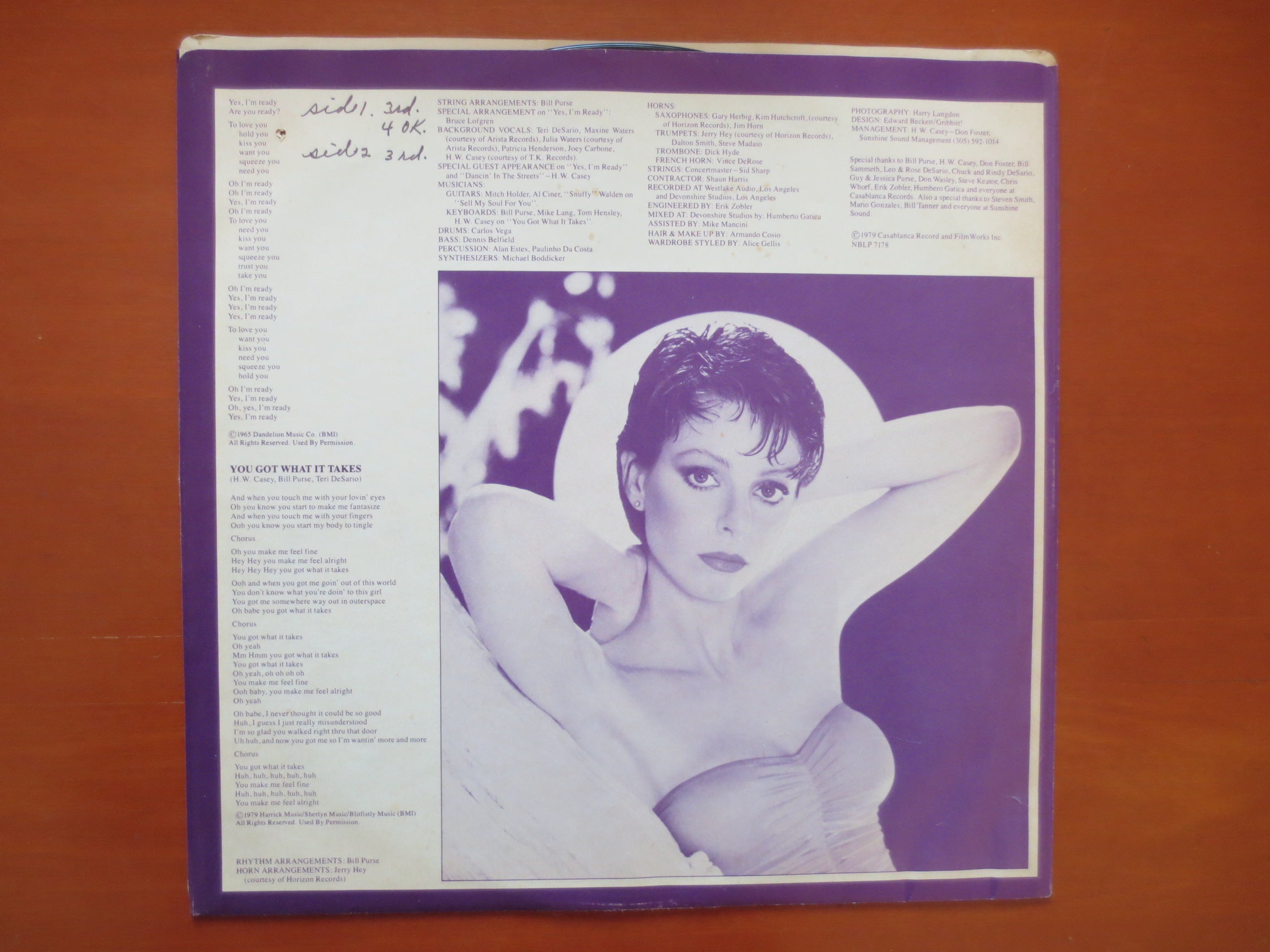 Terri DeSario – Moonlight Madness (1979) Vinyl LP