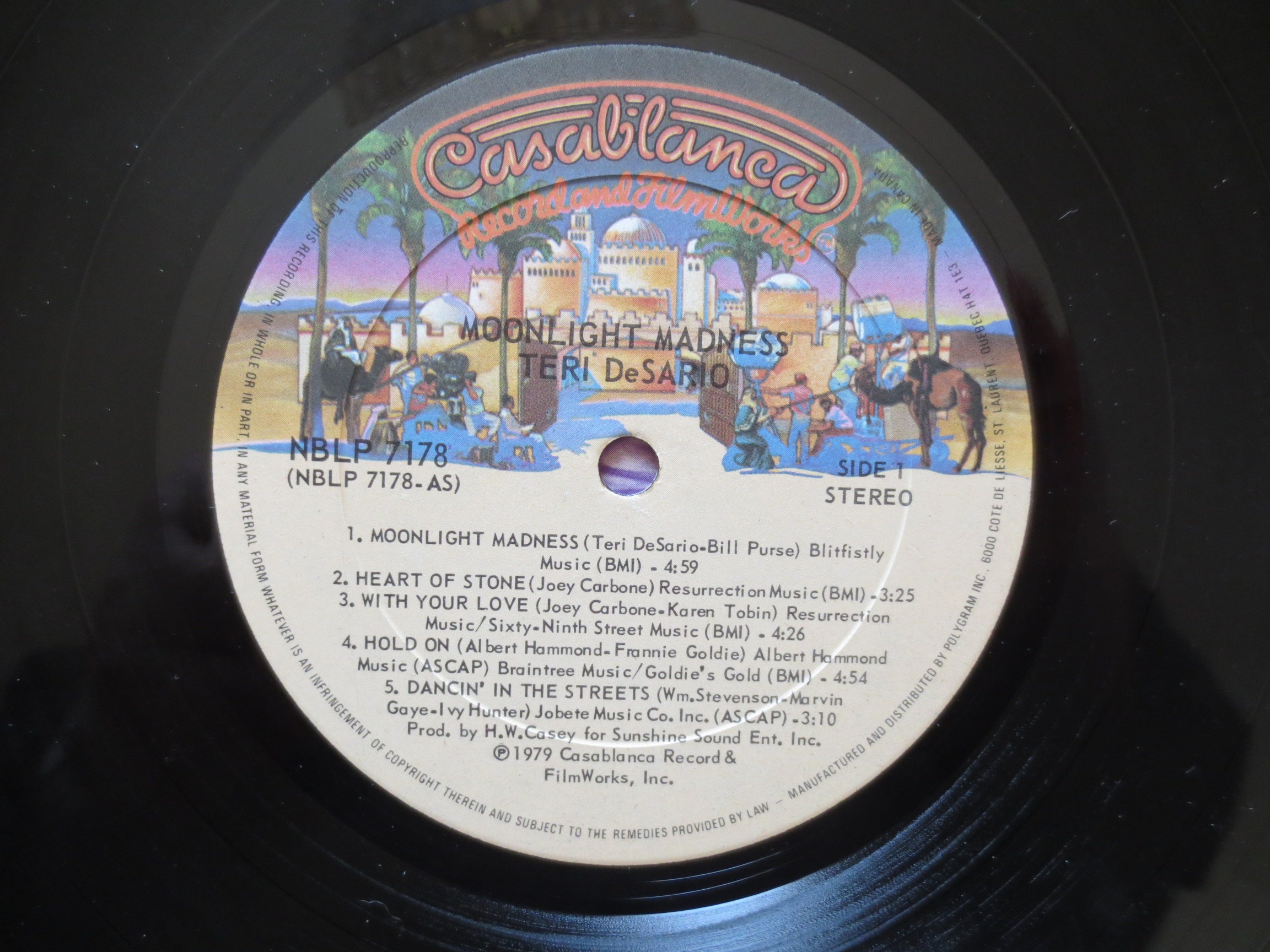 Terri DeSario – Moonlight Madness (1979) Vinyl LP