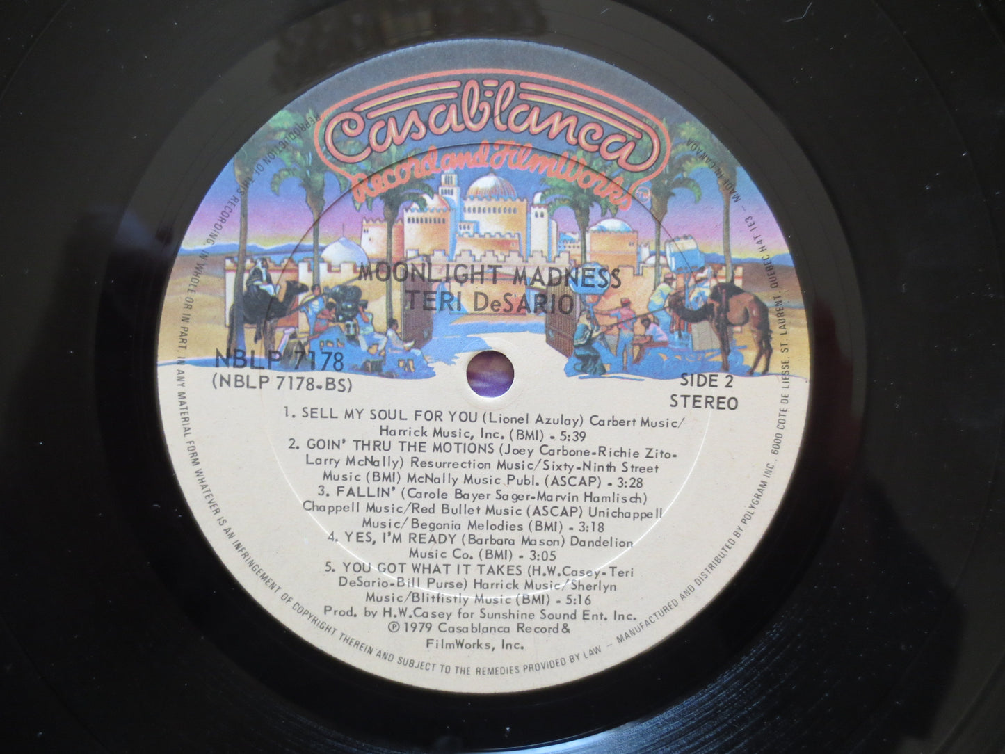 TERRI DE SARIO, Moonlight Madness Lp, Terri De Sario Album, Terri De Sario Vinyl, Disco Record, Disco Lp, 1979 Records