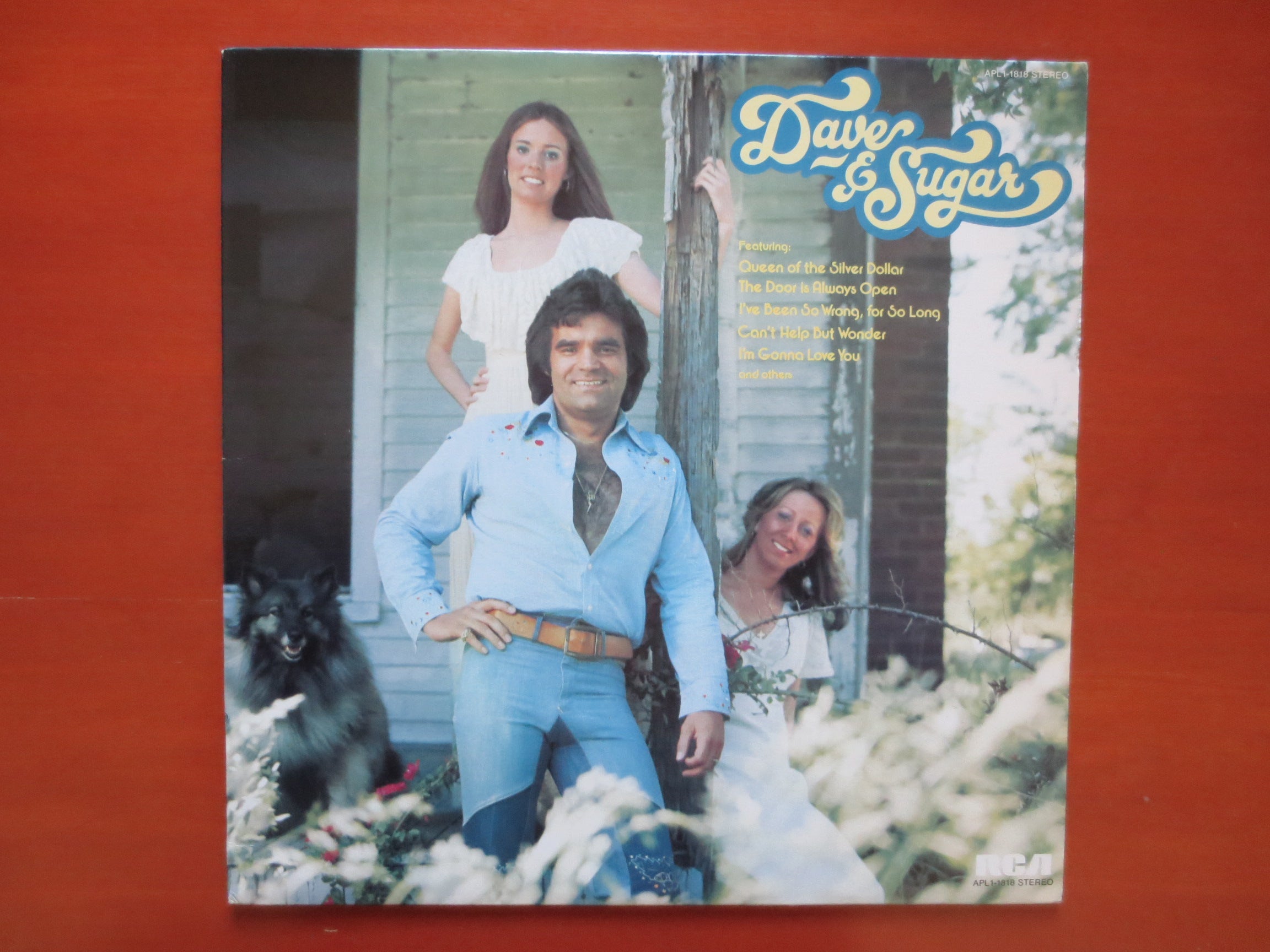 Dave Rowland & Sugar – Dave Rowland & Sugar (1976) Vinyl LP