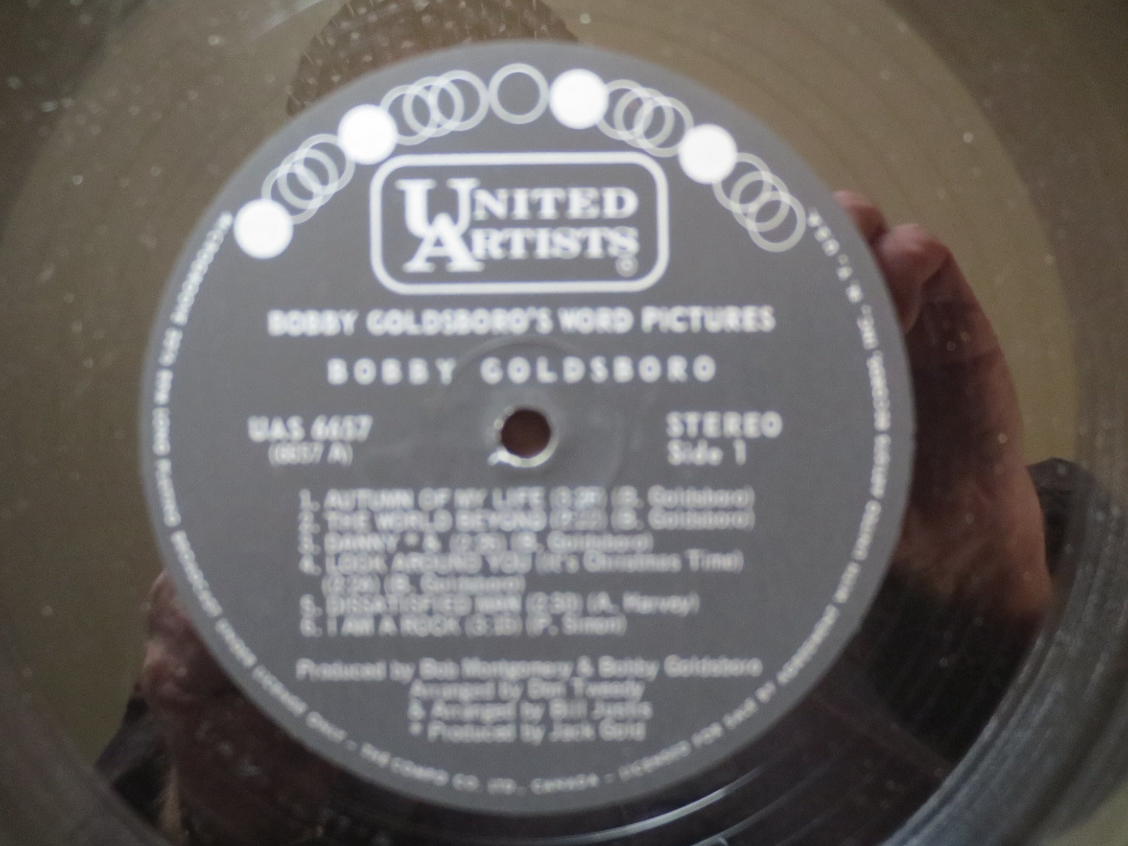 Bobby Goldsboro – Word Pictures (1968) Vinyl LP