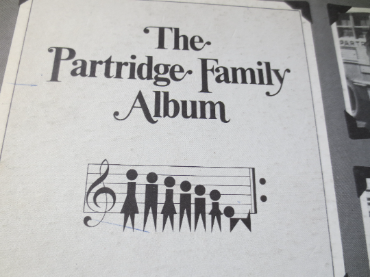 The Partridge Family – The Partridge Family Album (1970) Vinyl LP